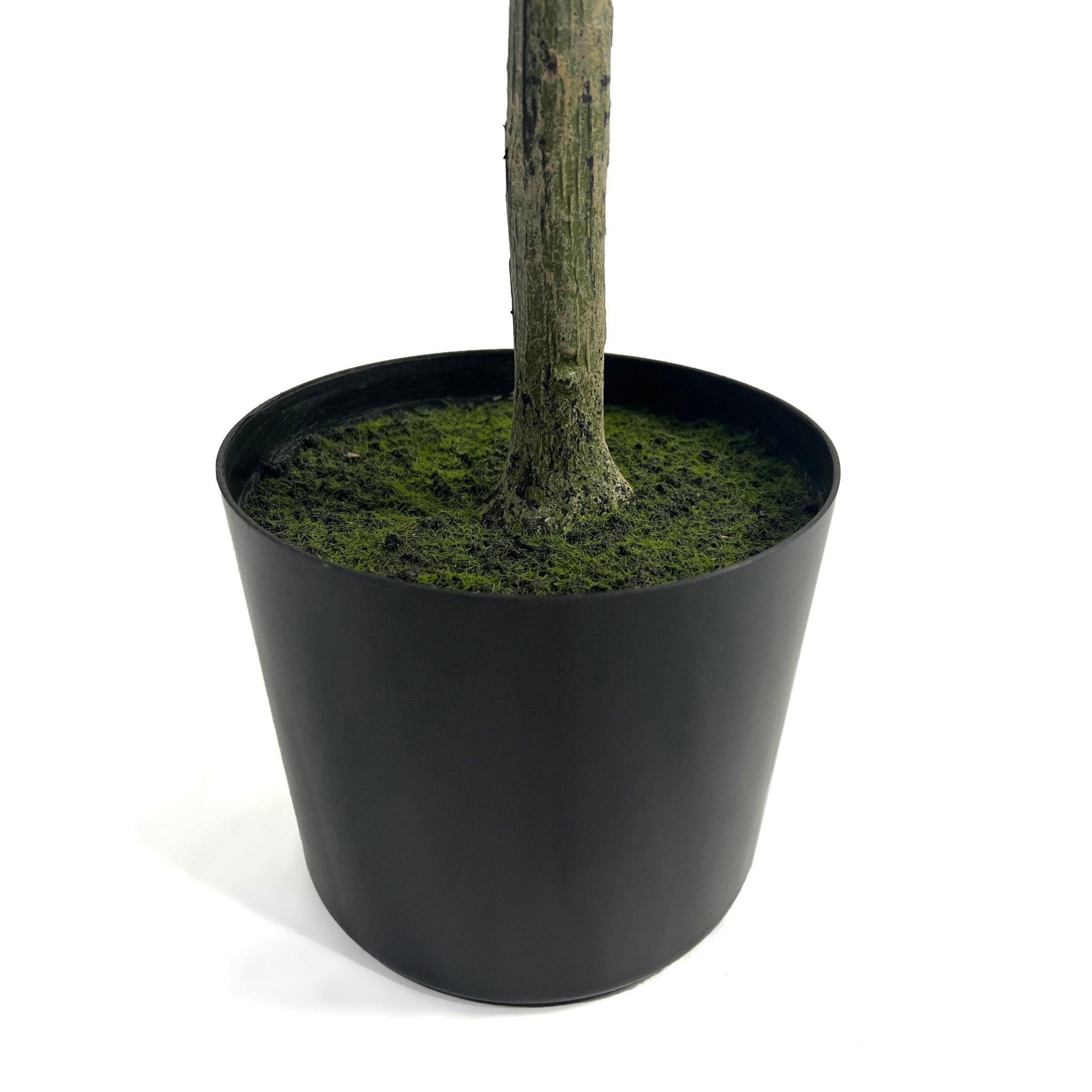 Vortexed Artificial Olive Tree - Potted Trees