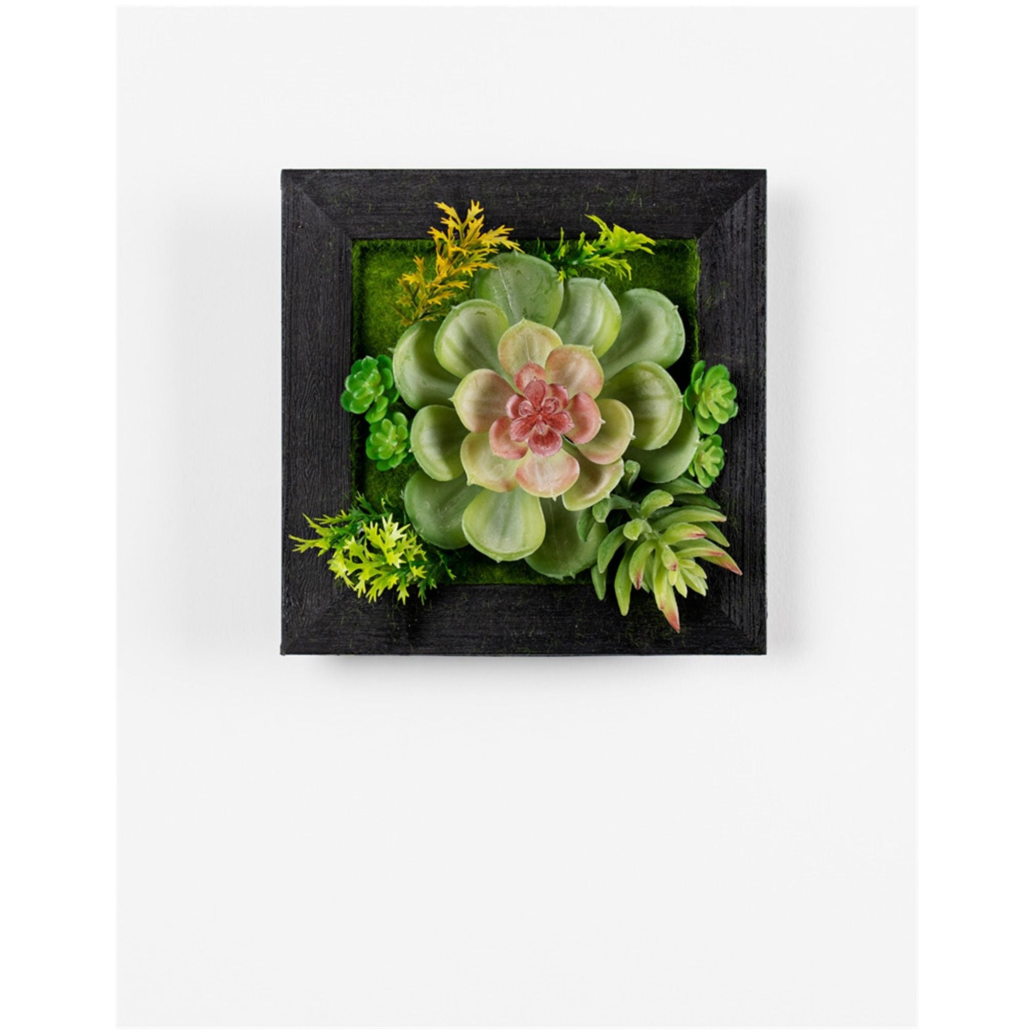 hanging succulent box Hanging Succulent Box Wall Décor, Set of 6
