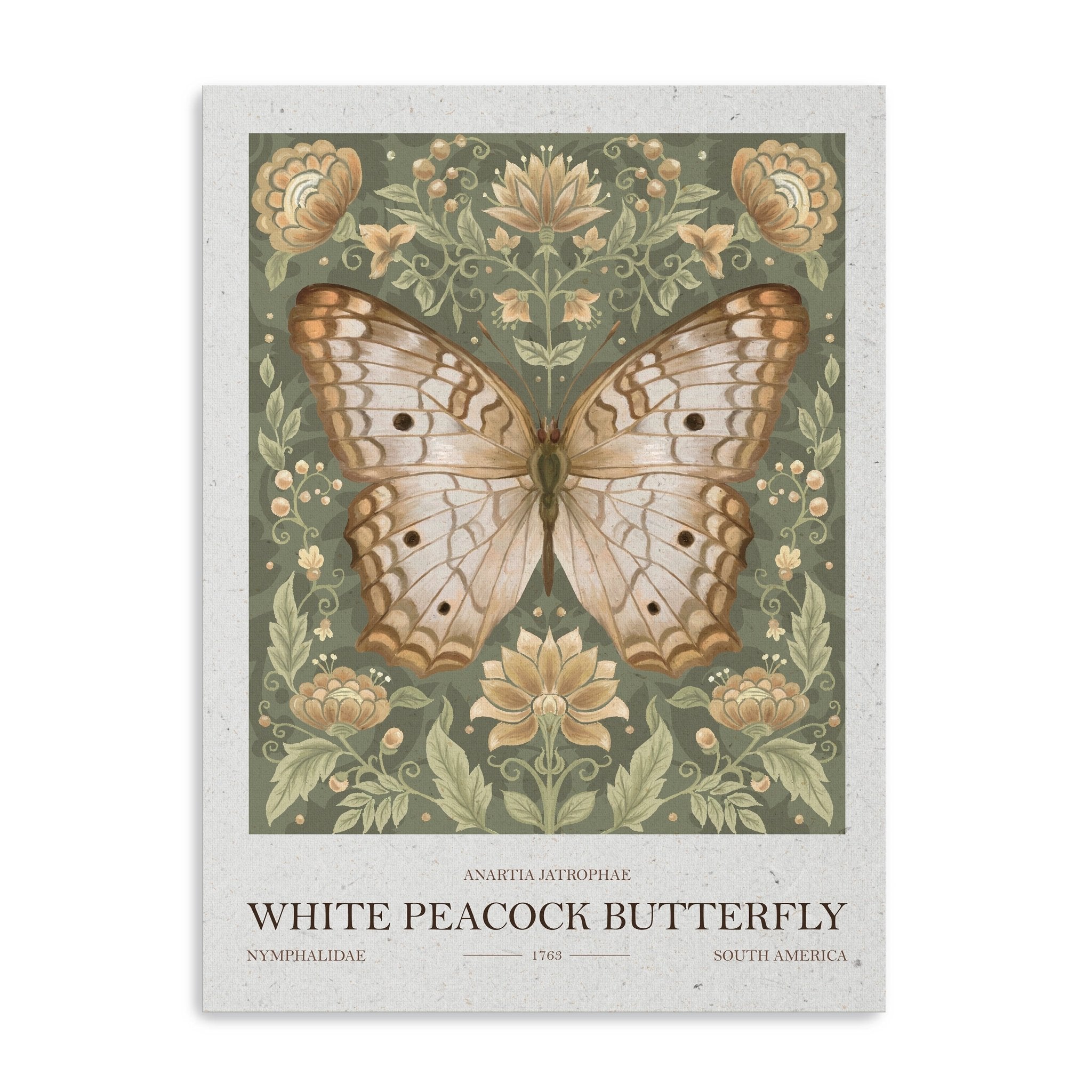 White Peacock Butterfly Canvas Giclee - Canvas Wall Art