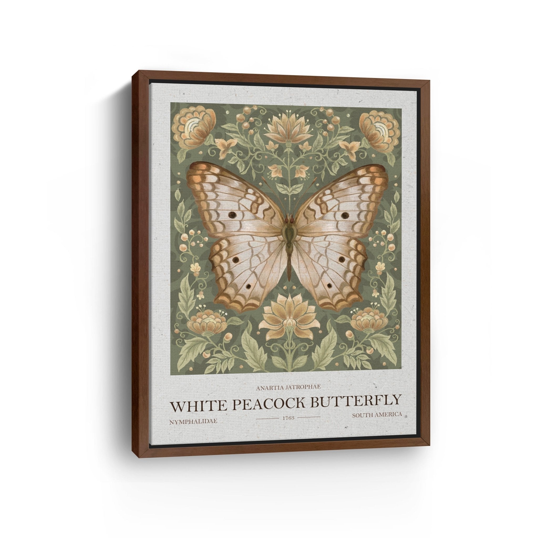 White Peacock Butterfly Canvas Giclee - Canvas Wall Art