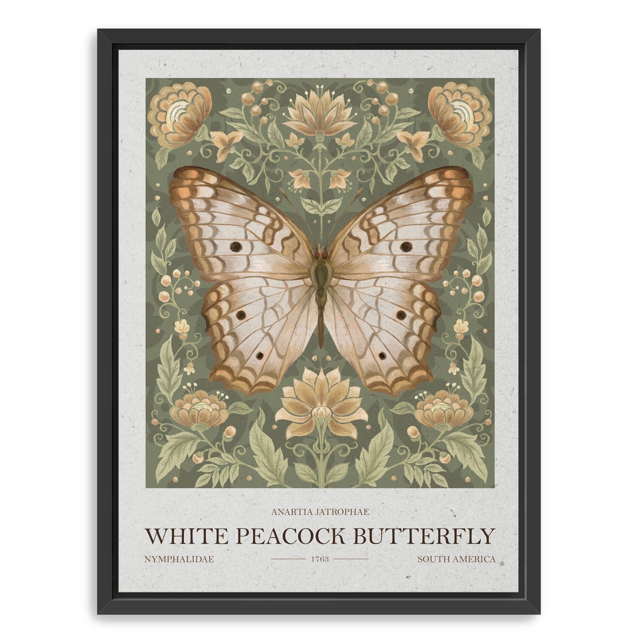 White Peacock Butterfly Canvas Giclee - Canvas Wall Art