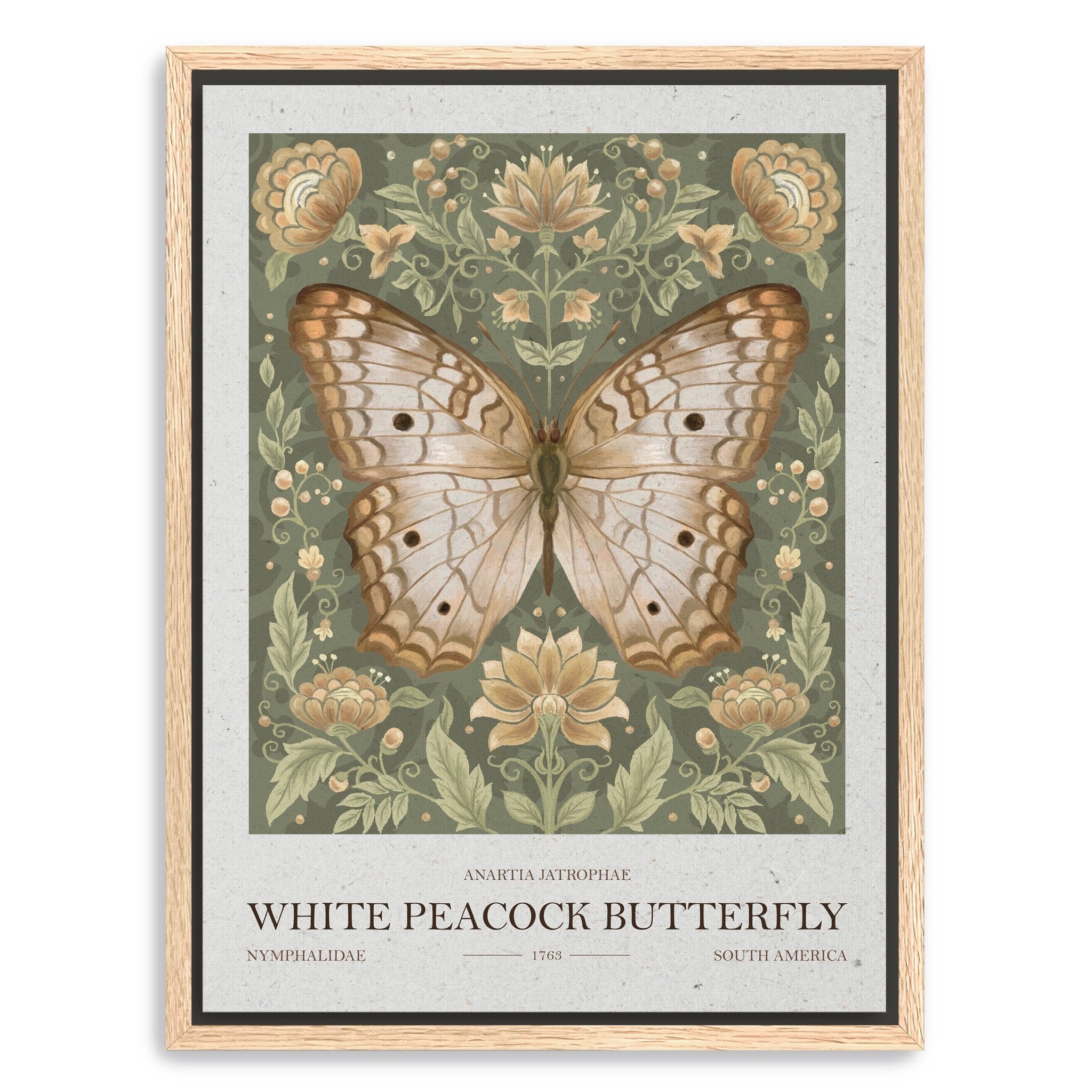 White Peacock Butterfly Canvas Giclee - Canvas Wall Art