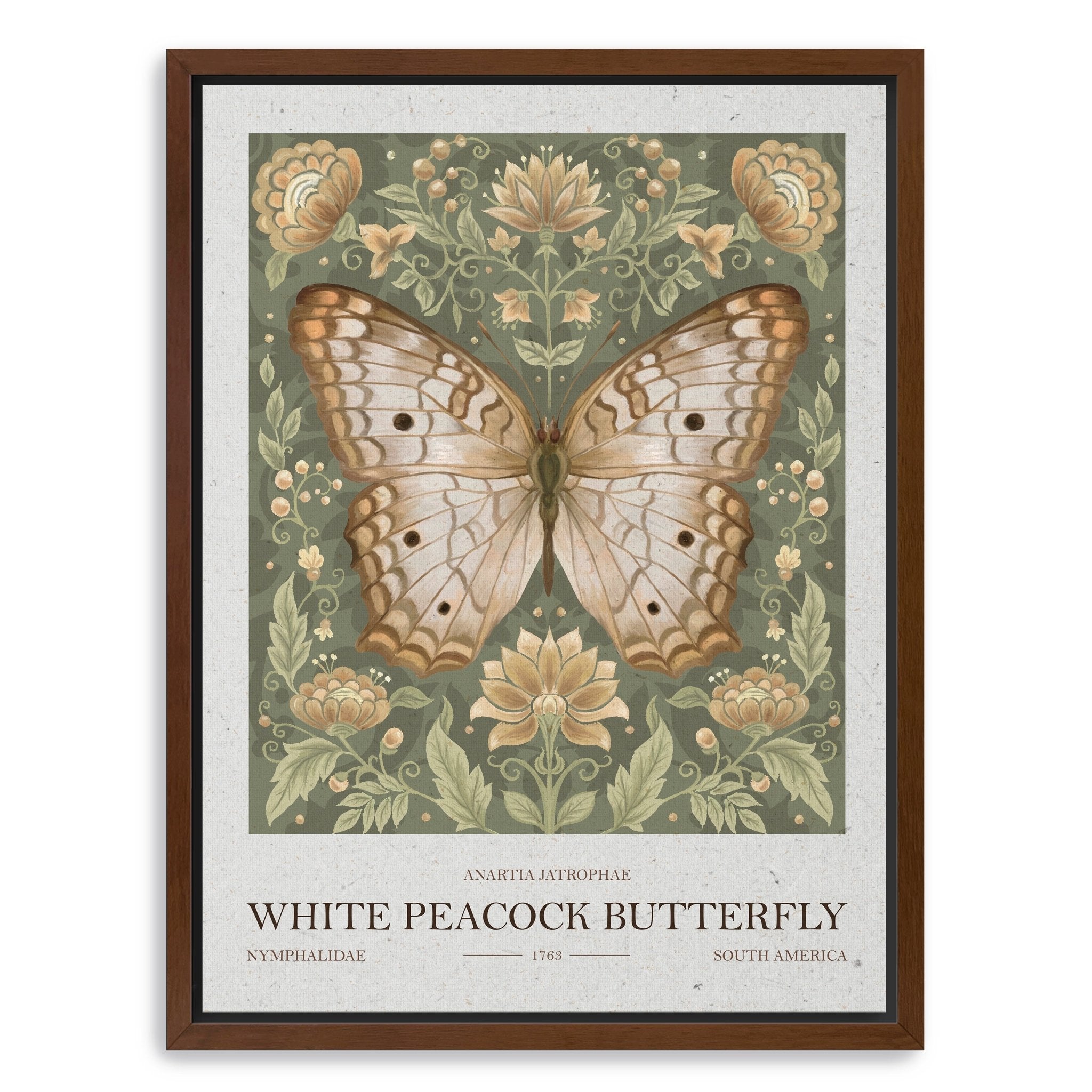 White Peacock Butterfly Canvas Giclee - Canvas Wall Art