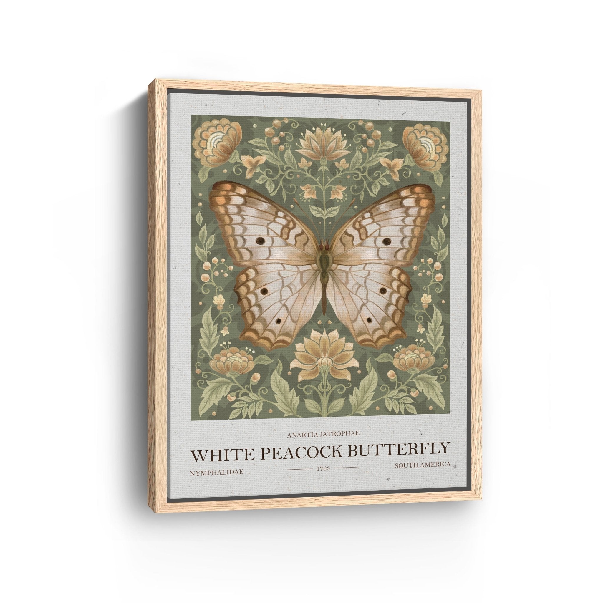 White Peacock Butterfly Canvas Giclee - Canvas Wall Art