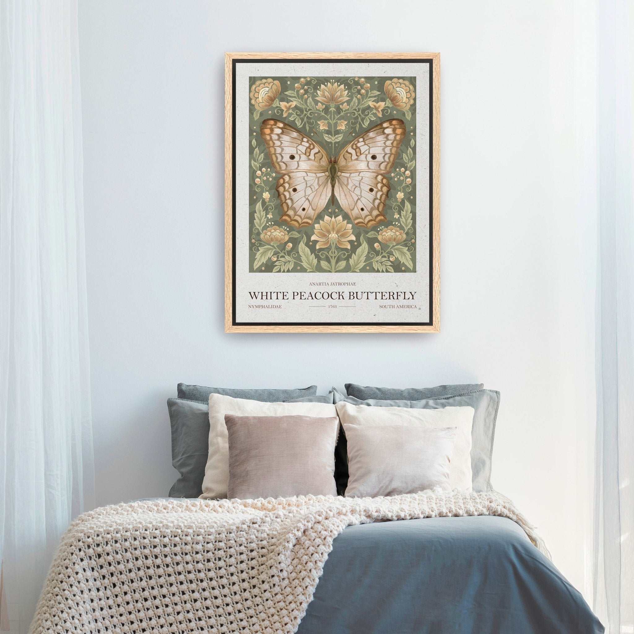White Peacock Butterfly Canvas Giclee - Canvas Wall Art