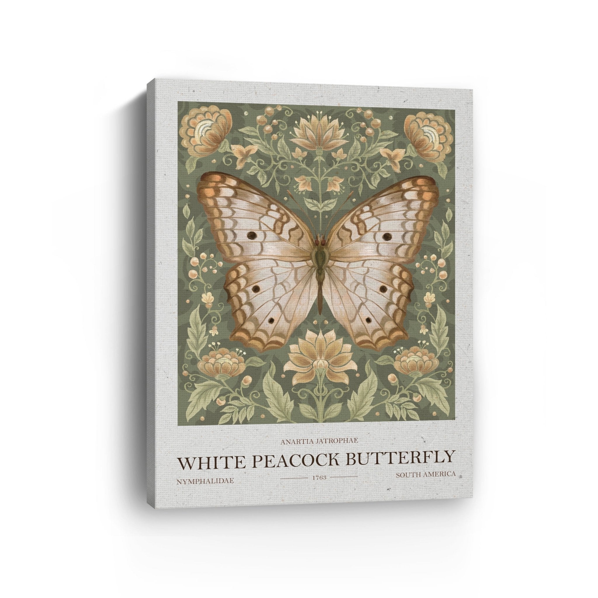 White Peacock Butterfly Canvas Giclee - Canvas Wall Art