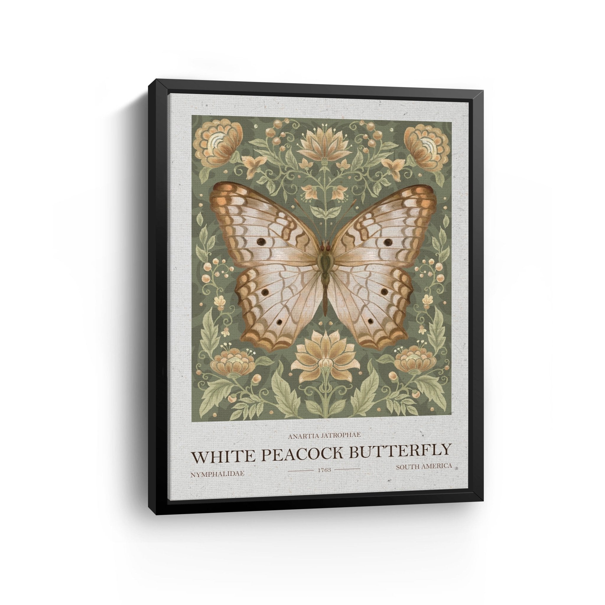 White Peacock Butterfly Canvas Giclee - Canvas Wall Art
