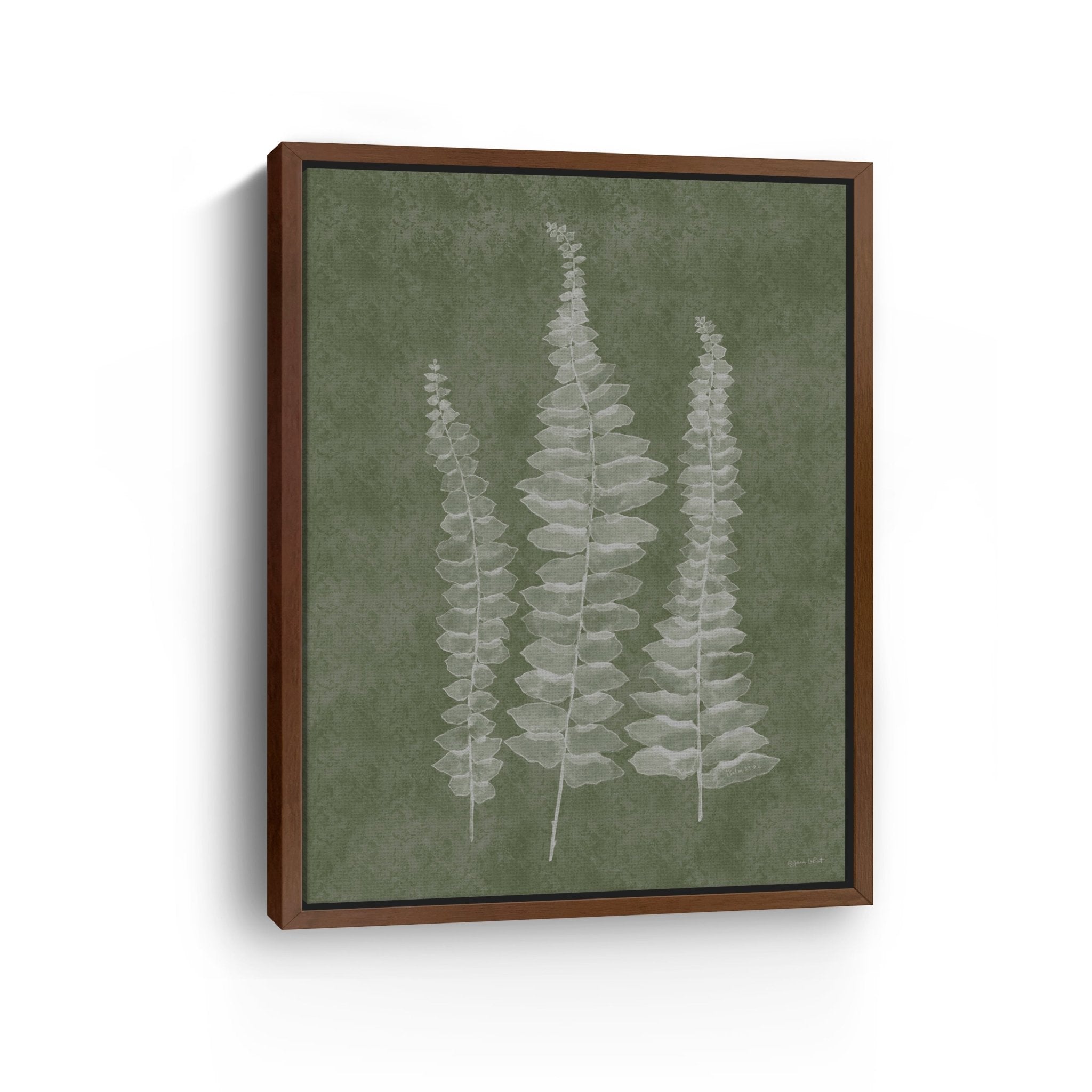 Woodland Ferns I Canvas Giclee - Canvas Wall Art