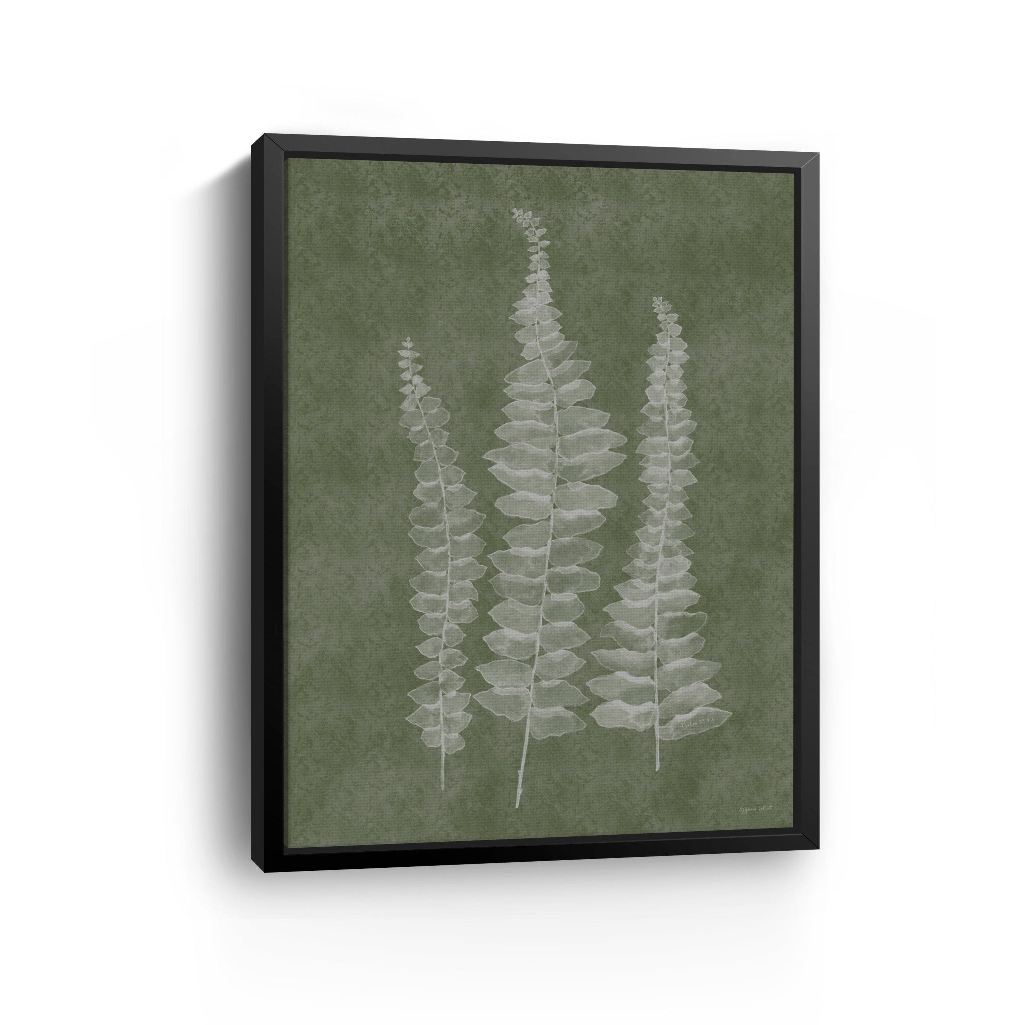 Woodland Ferns I Canvas Giclee - Canvas Wall Art