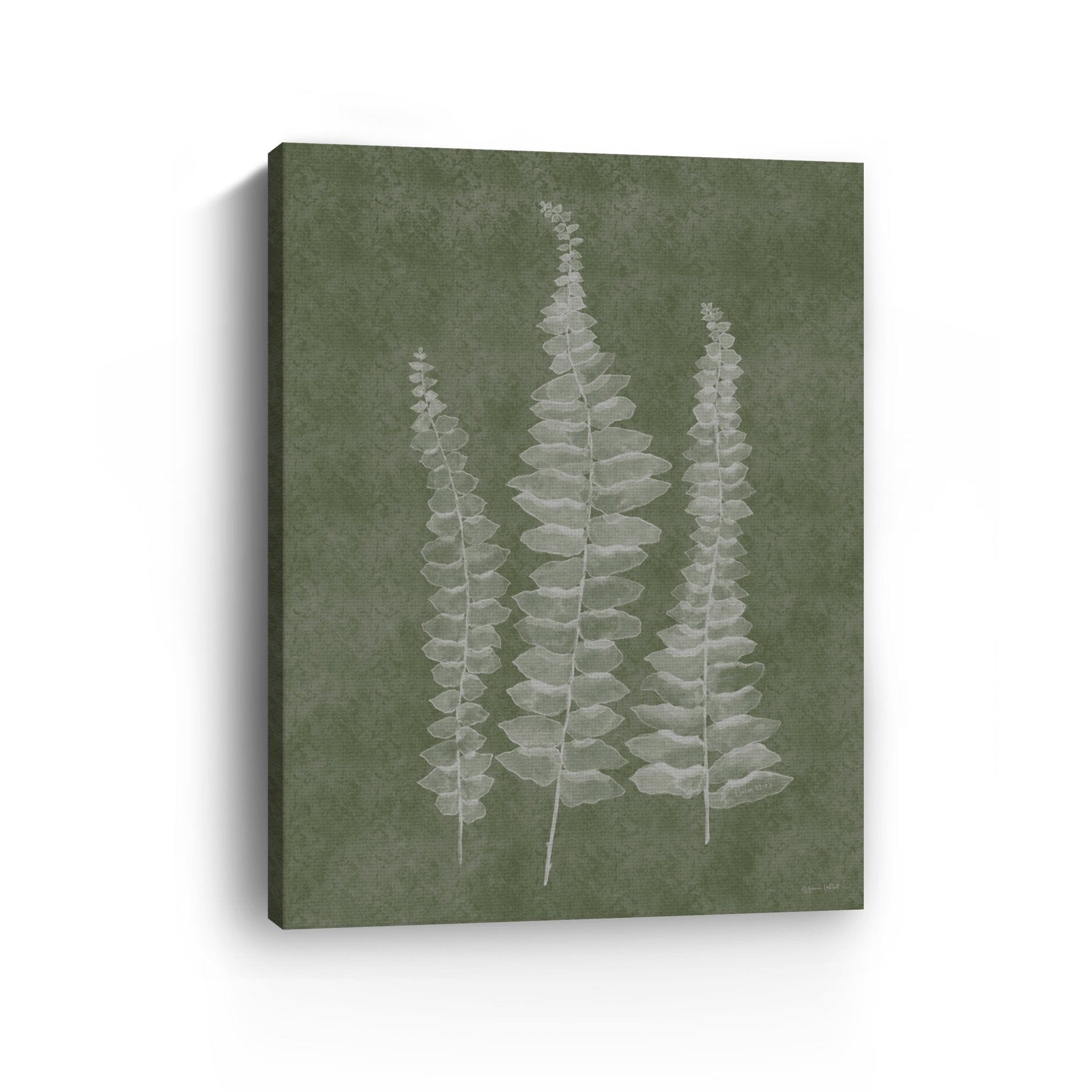 Woodland Ferns I Canvas Giclee - Canvas Wall Art