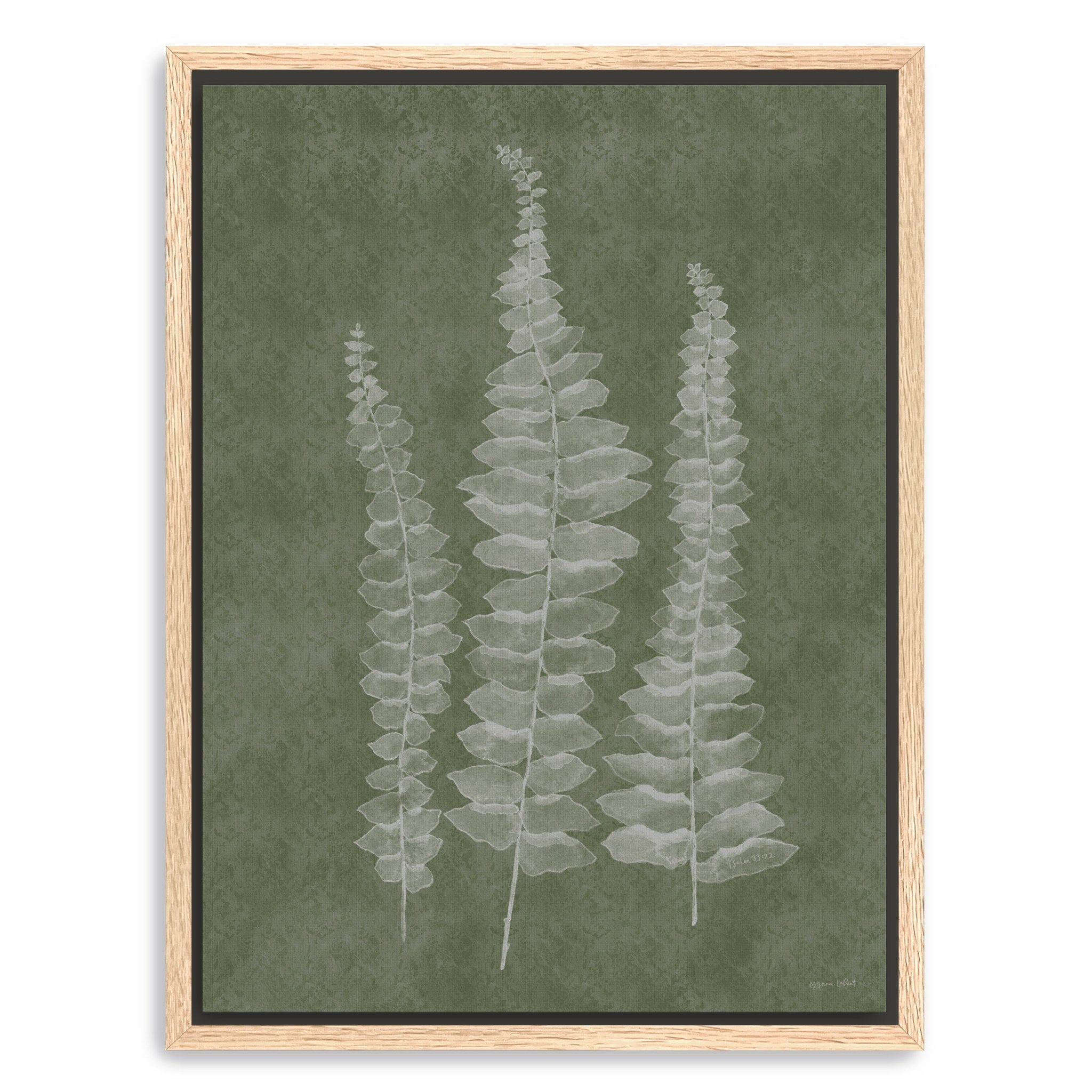 Woodland Ferns I Canvas Giclee - Canvas Wall Art