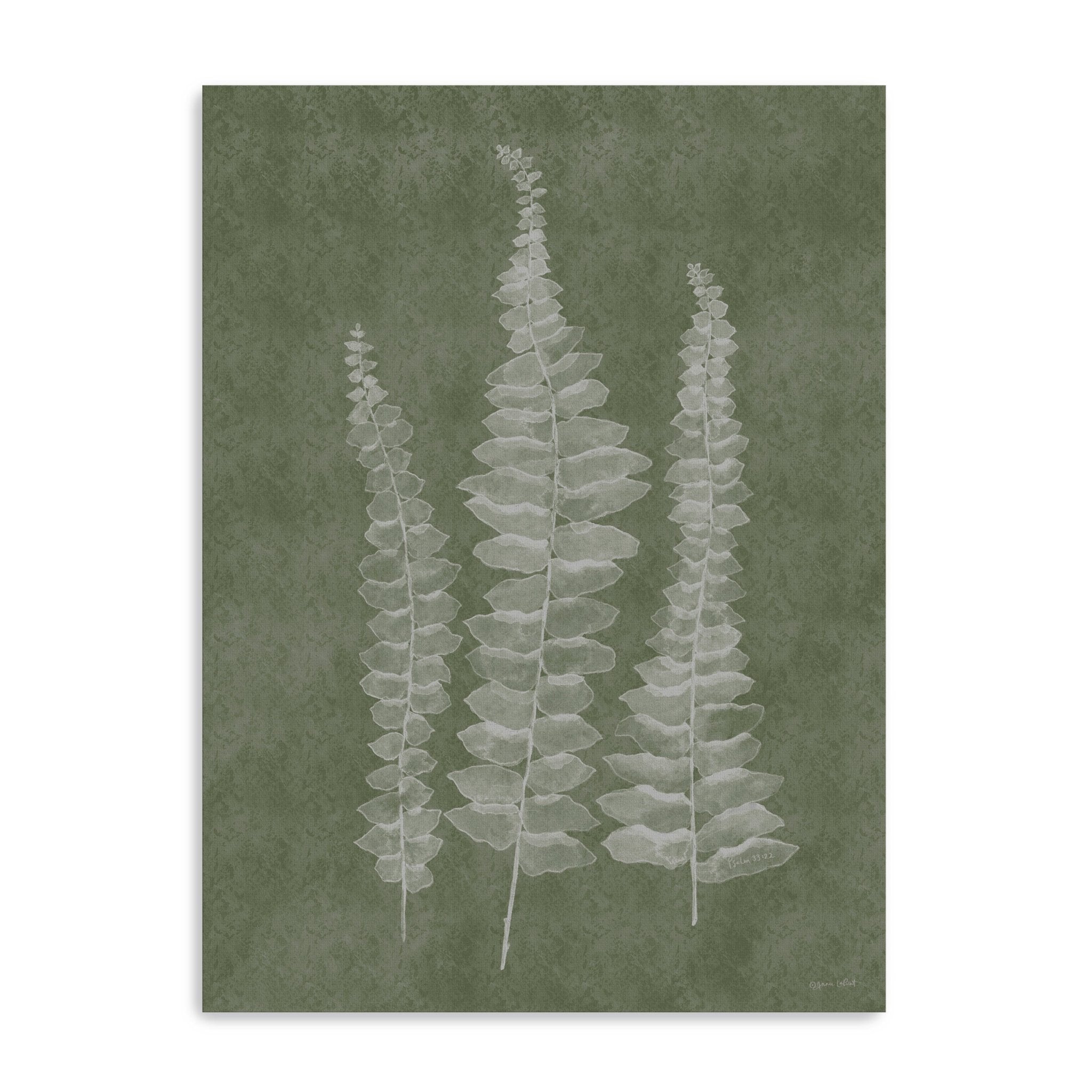 Woodland Ferns I Canvas Giclee - Canvas Wall Art
