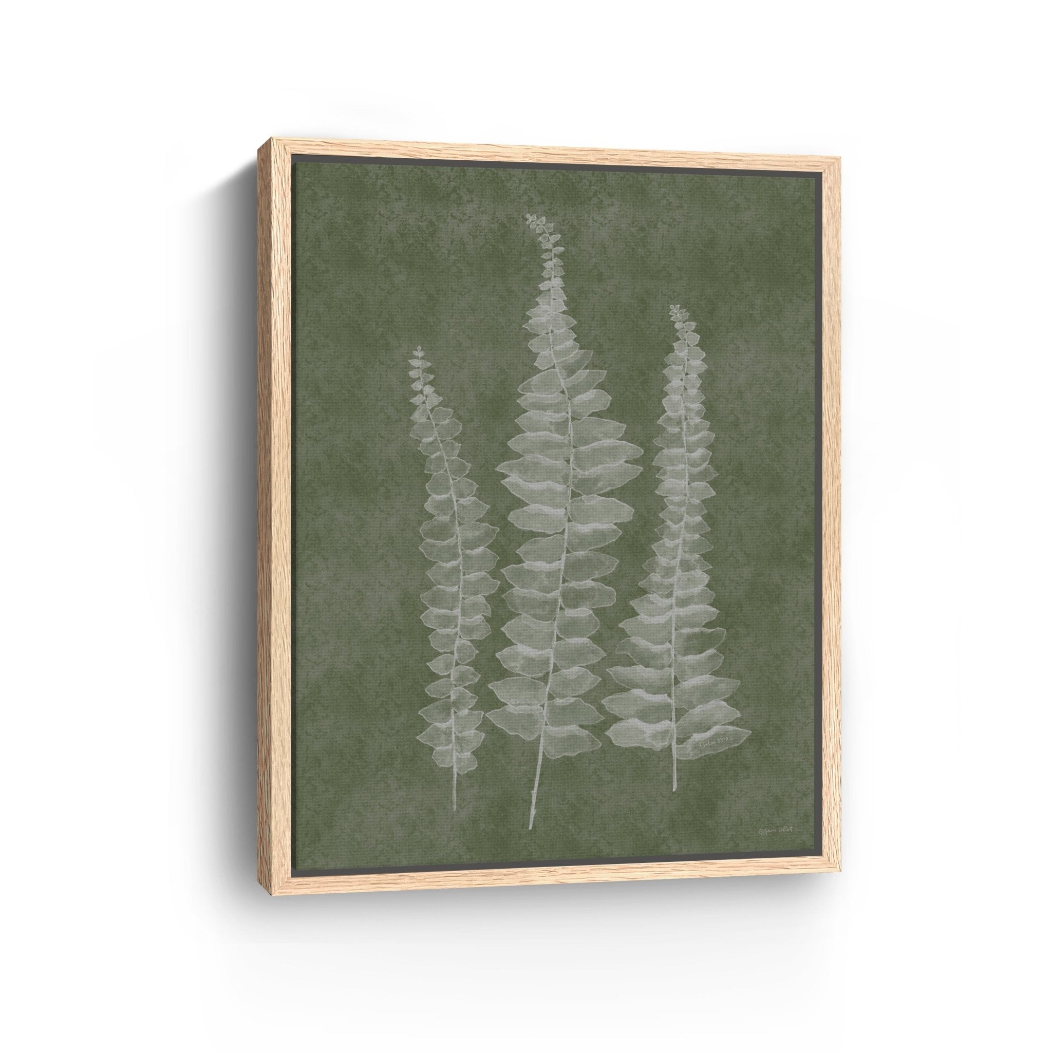 Woodland Ferns I Canvas Giclee - Canvas Wall Art