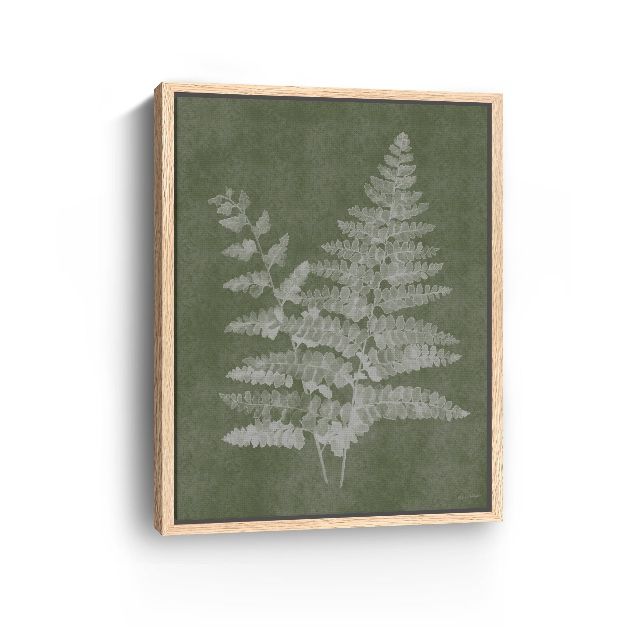 Woodland Ferns II Canvas Giclee - Canvas Wall Art