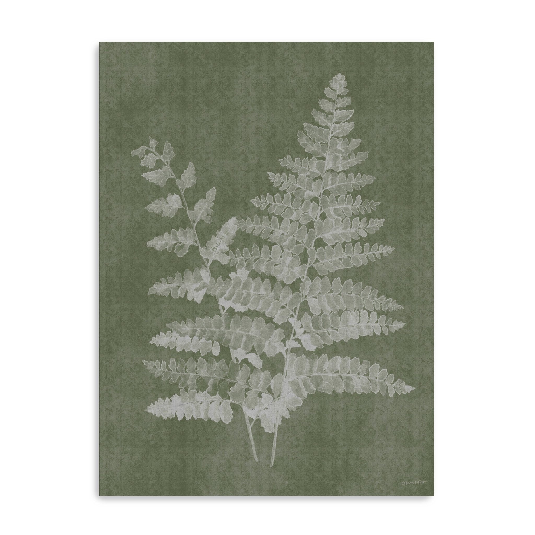 Woodland Ferns II Canvas Giclee - Canvas Wall Art