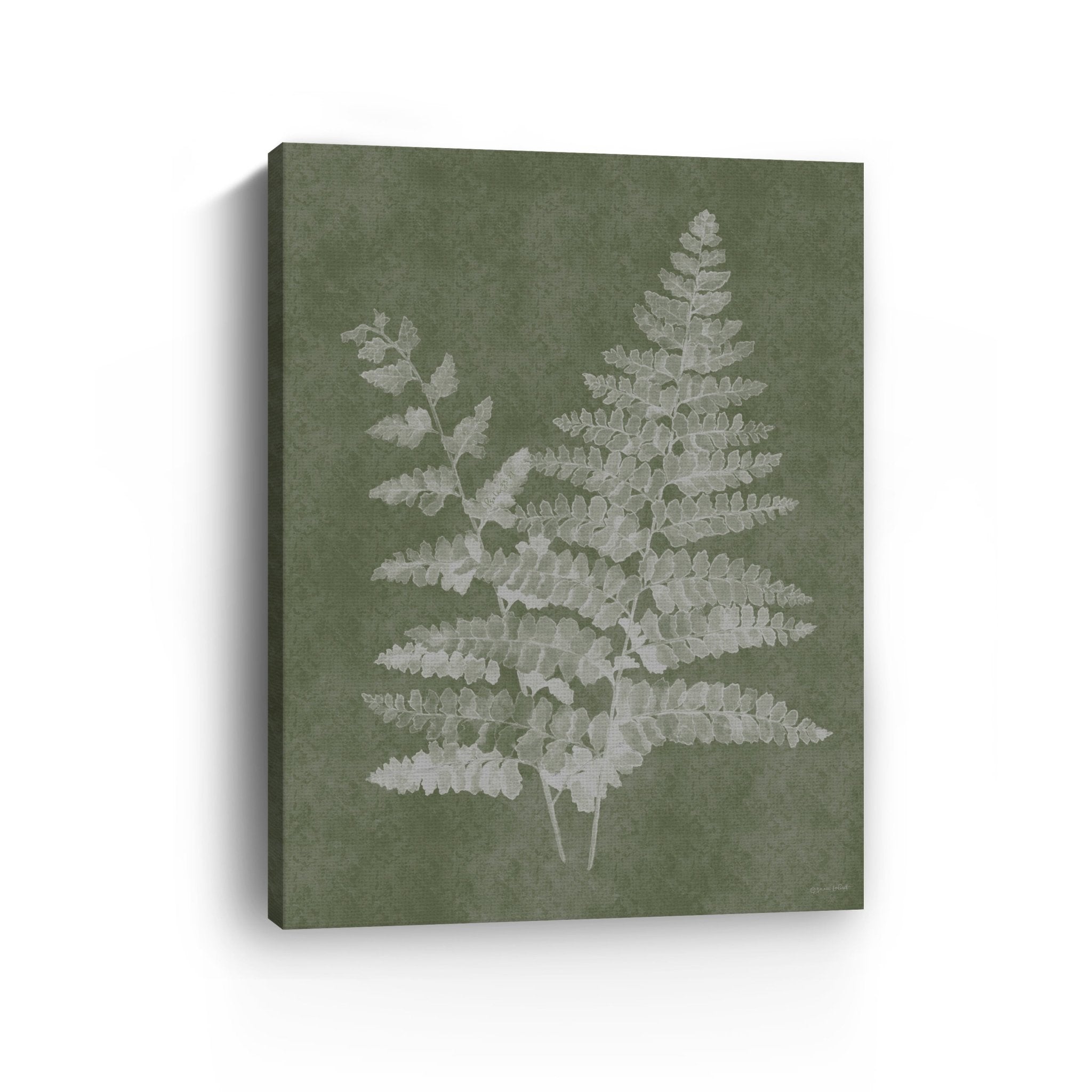 Woodland Ferns II Canvas Giclee - Canvas Wall Art