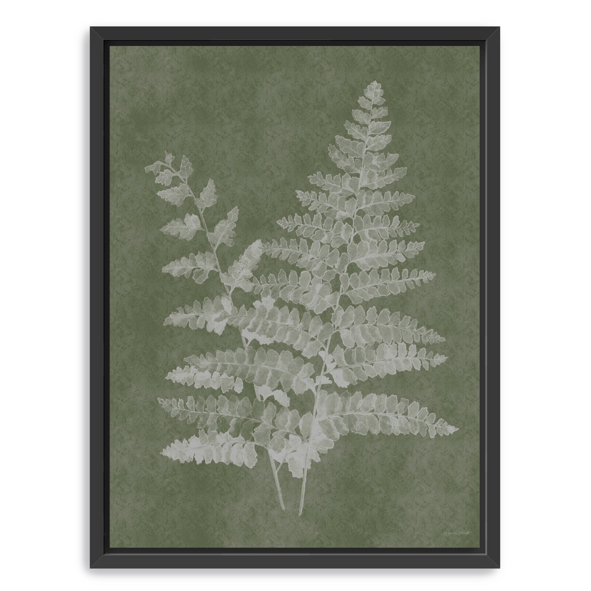 Woodland Ferns II Canvas Giclee - Canvas Wall Art