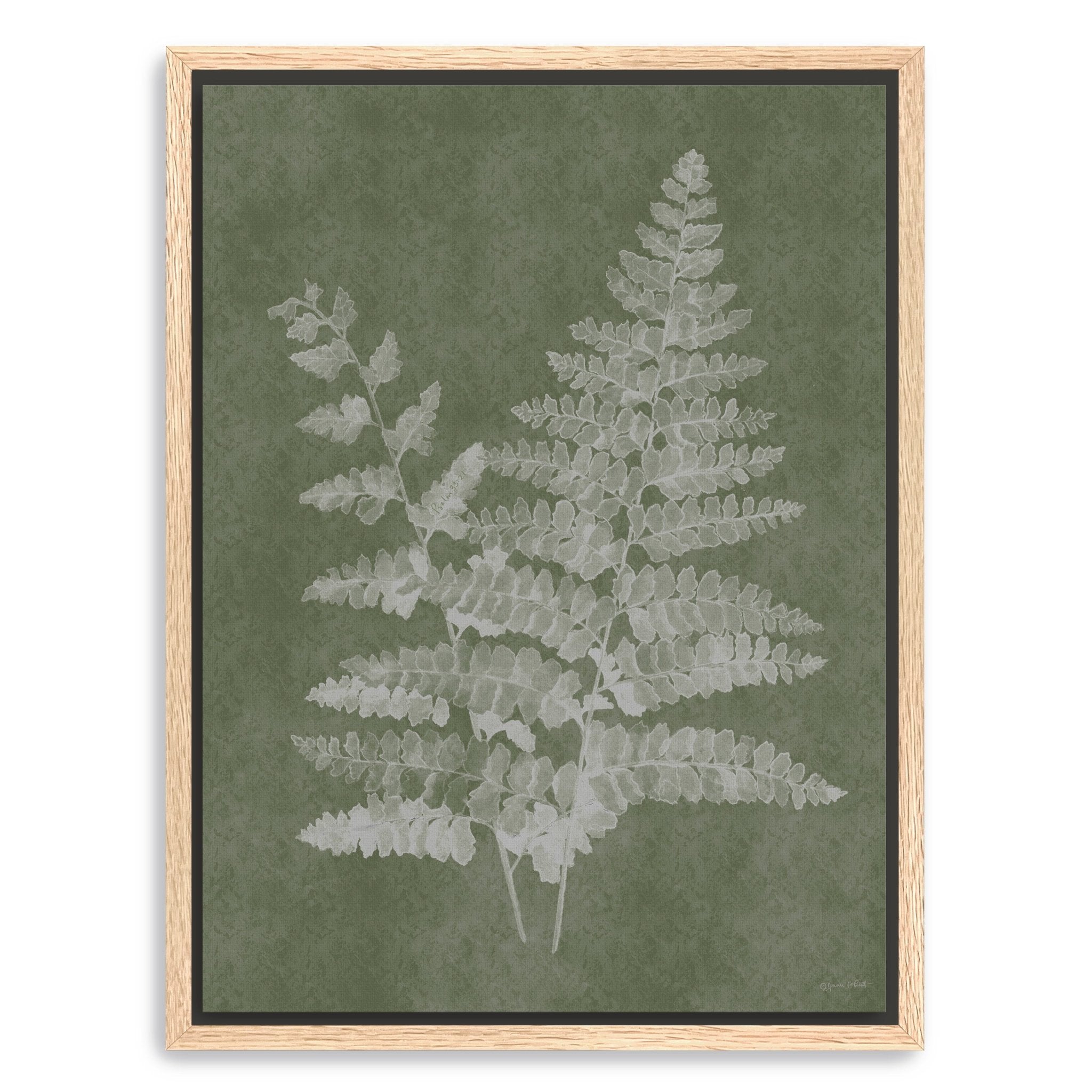 Woodland Ferns II Canvas Giclee - Canvas Wall Art