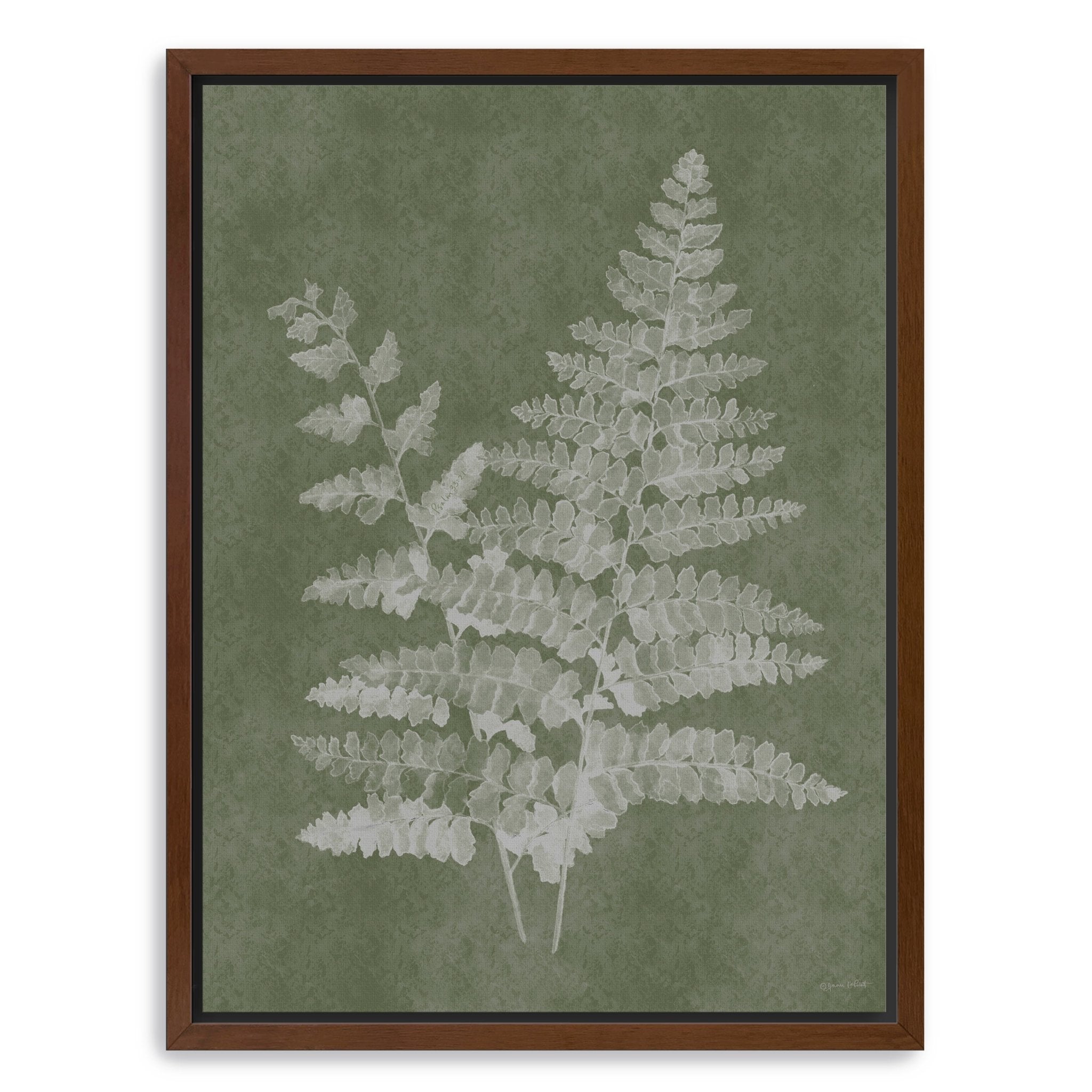 Woodland Ferns II Canvas Giclee - Canvas Wall Art
