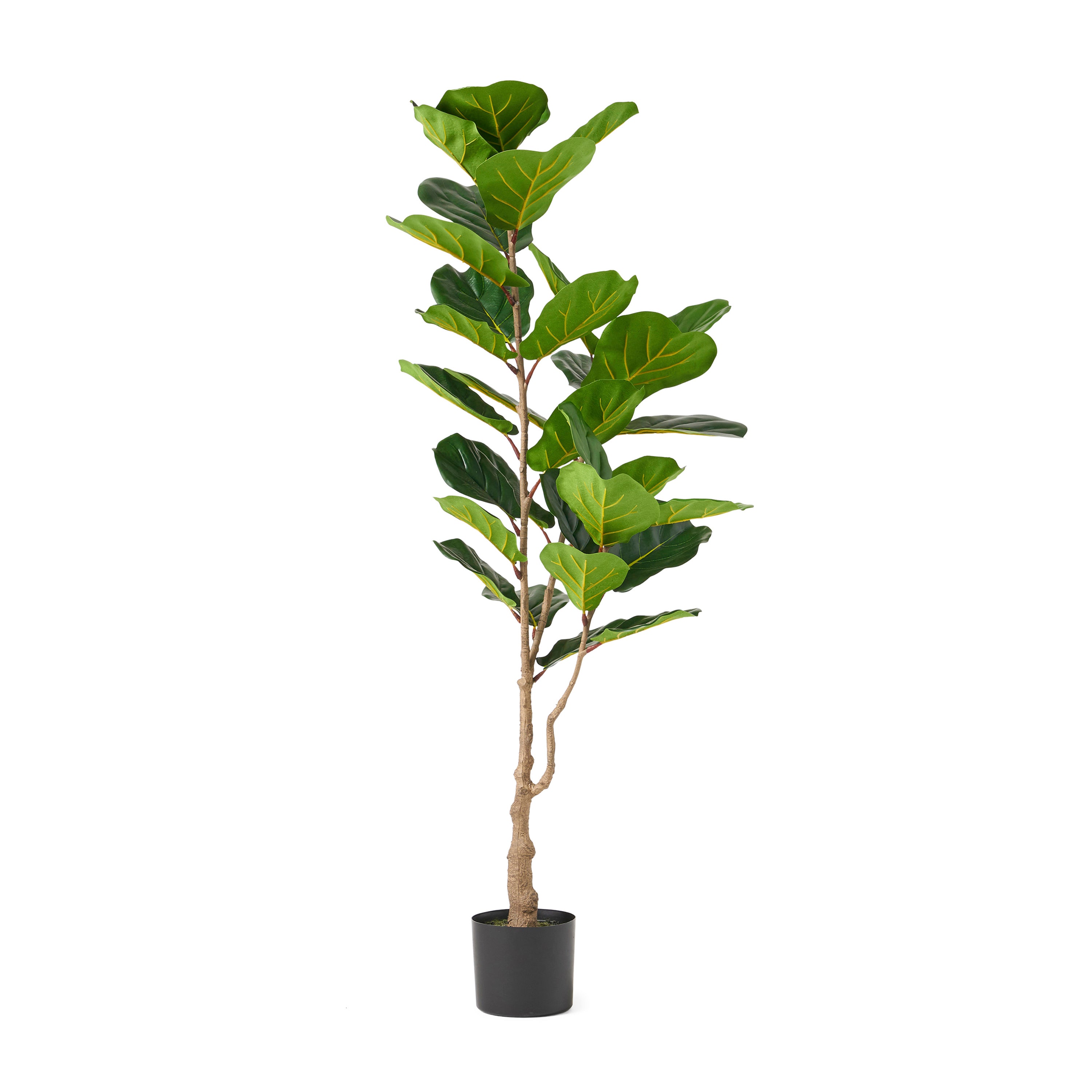 59" Faux Fiddle Leaf Fern Tree