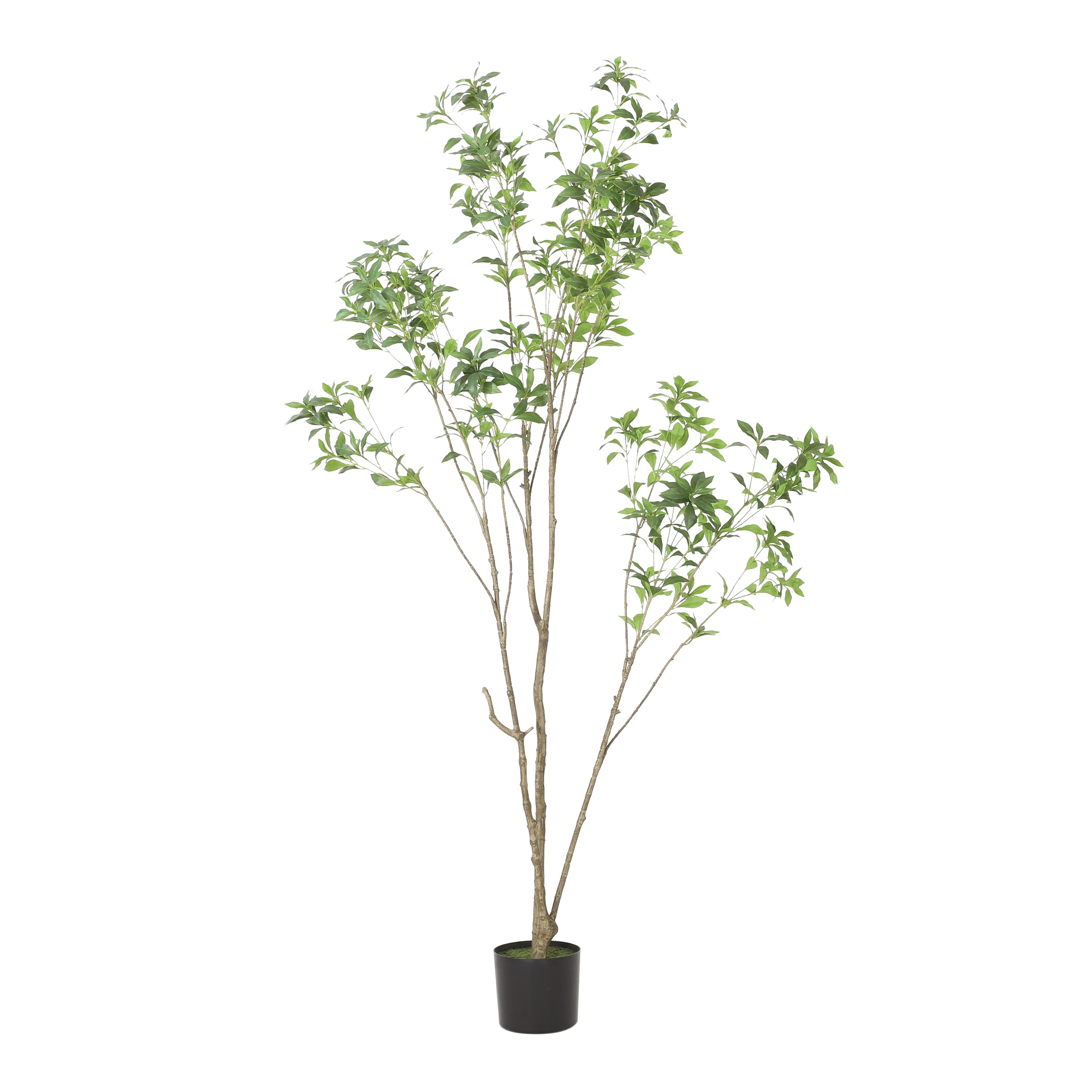 Pieris Tree Articial Tree
