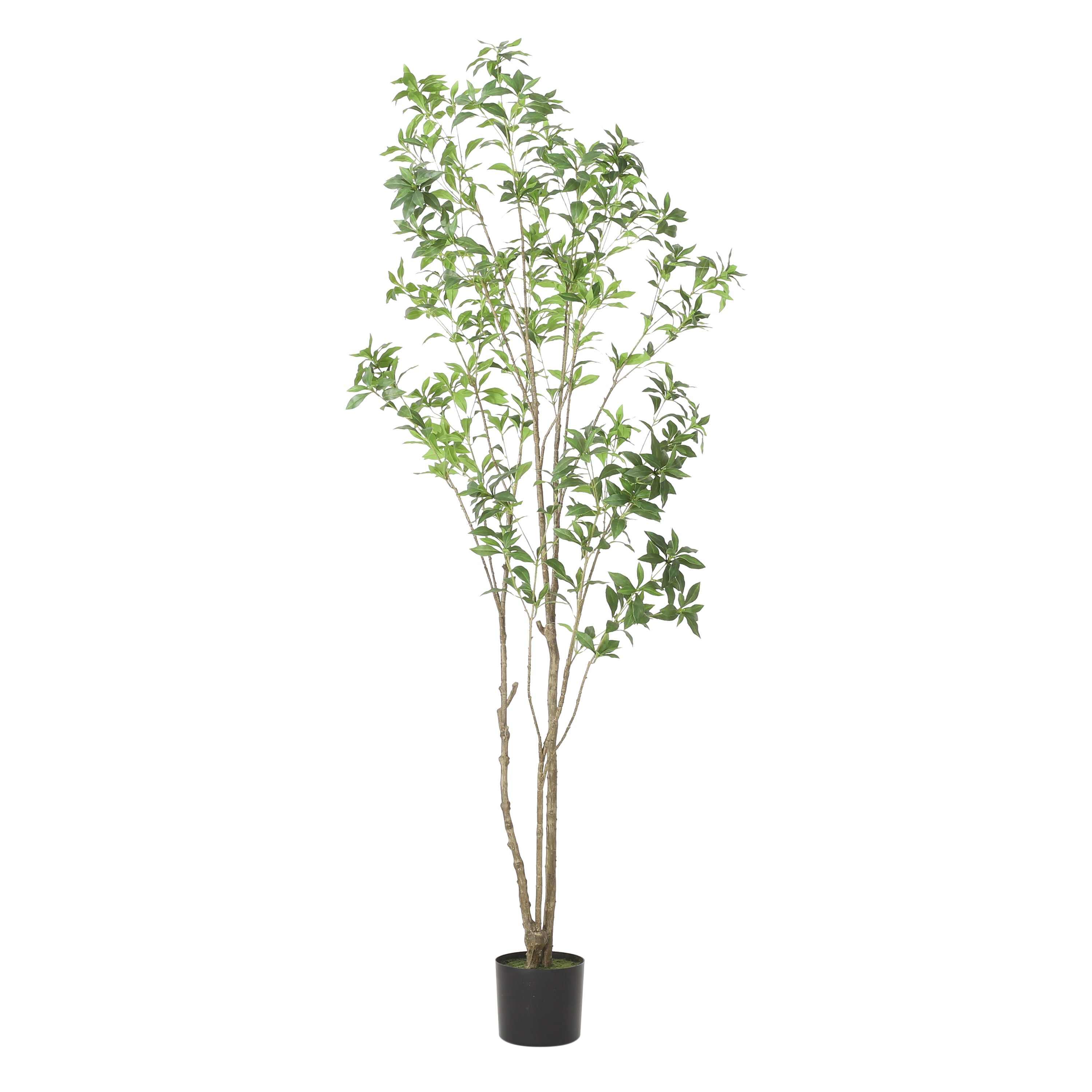 Pieris Tree Articial Tree