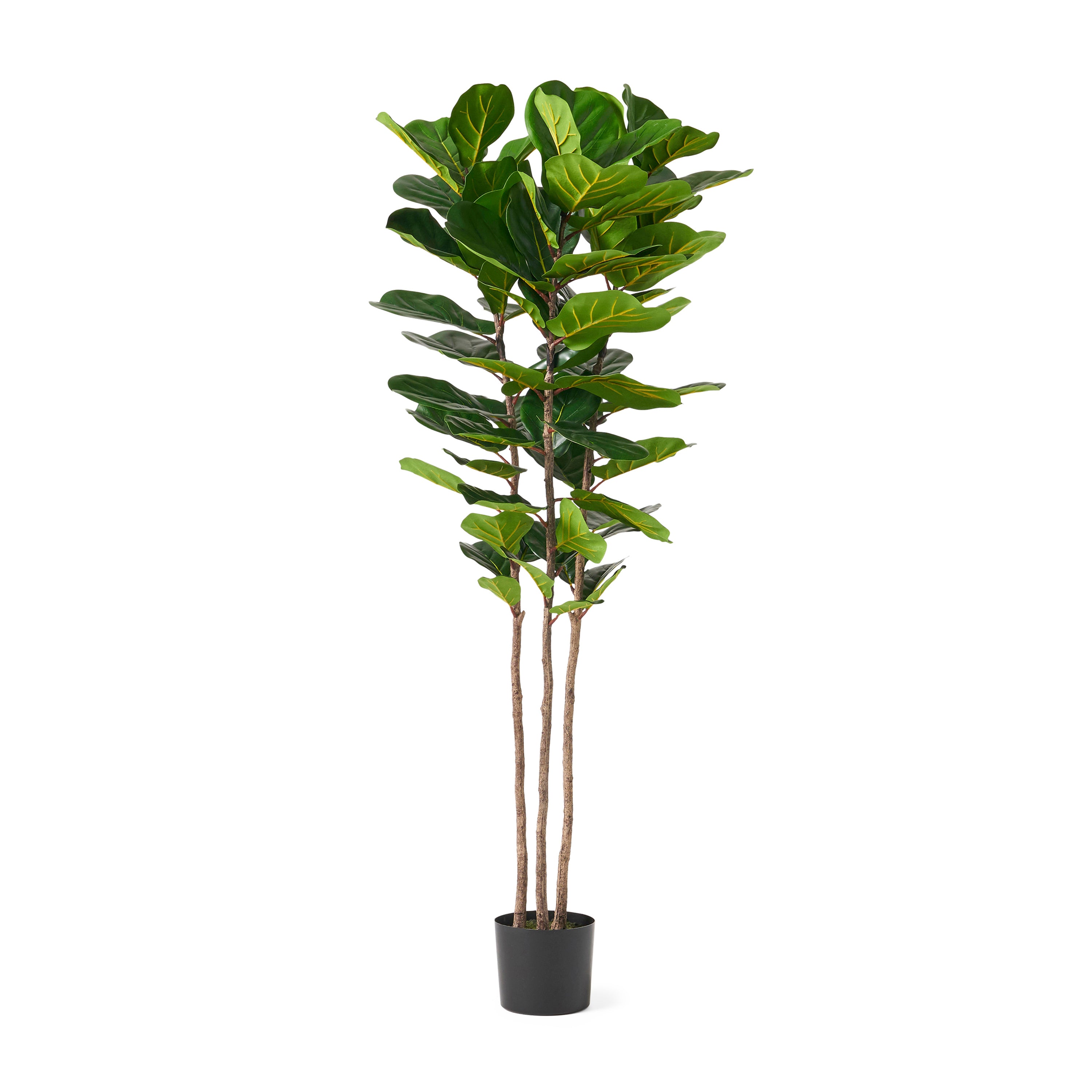 71" Faux Fiddle Leaf Fern Tree