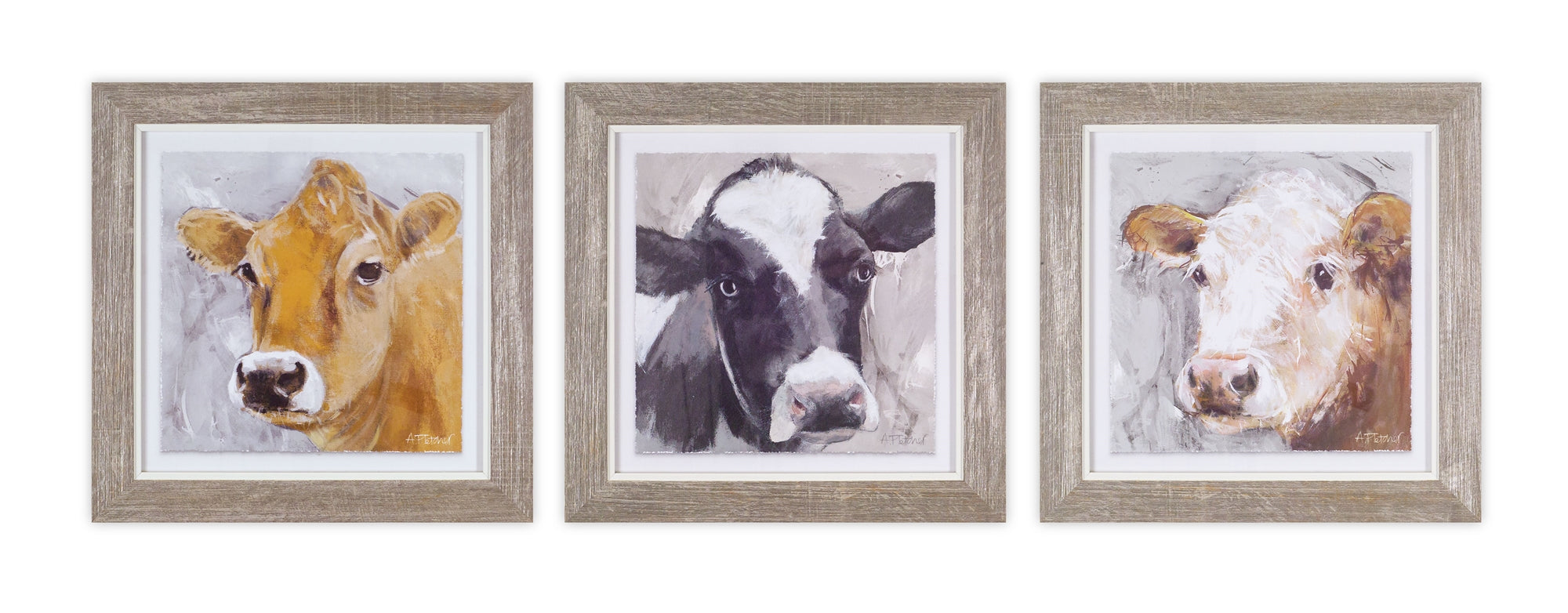 Wood-Framed-Cow-Print-Under-Glass-(Set-of-3)-Decorative-Accessories