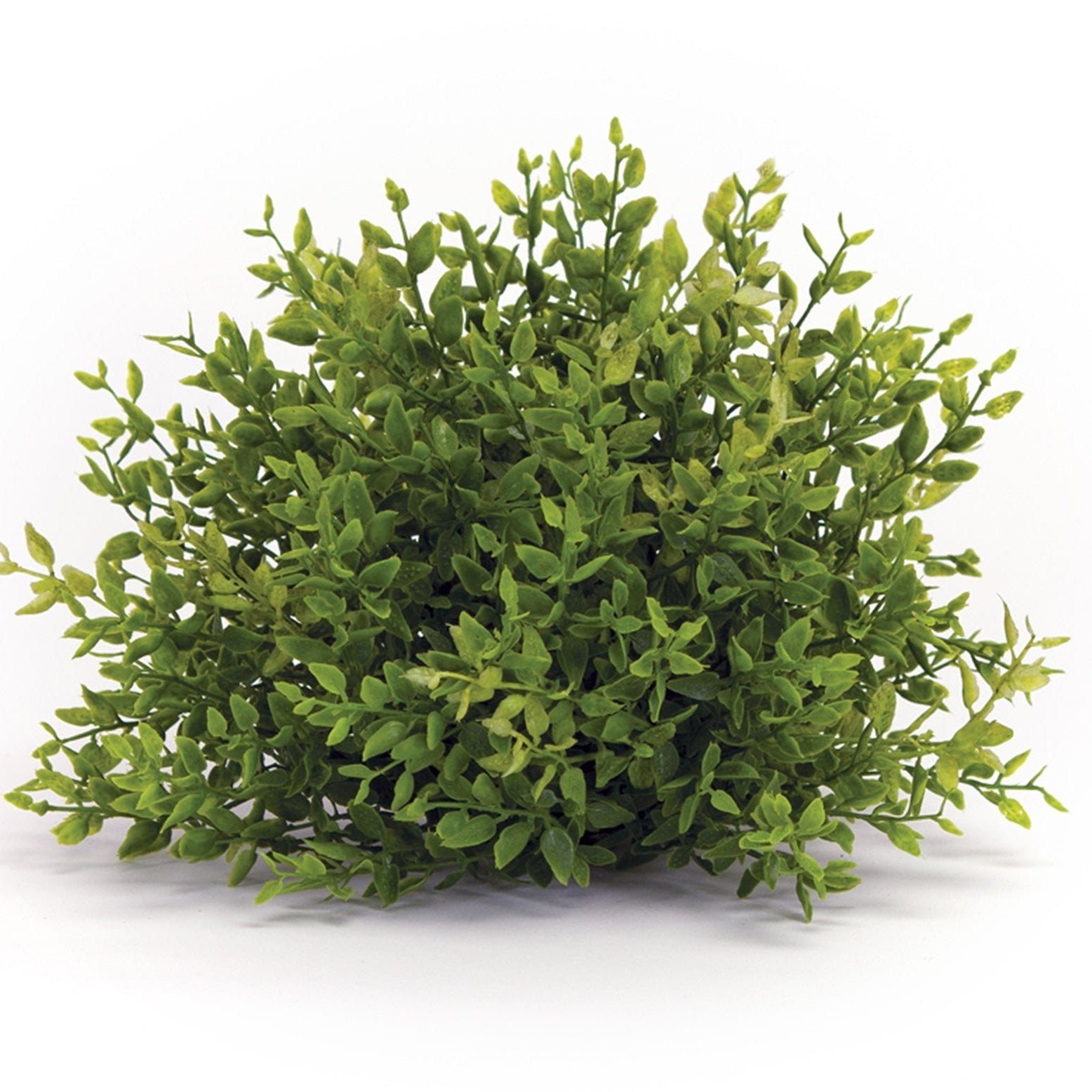 7" Mini Leaf Foliage Half Orb (Set of 6) - Pier 1