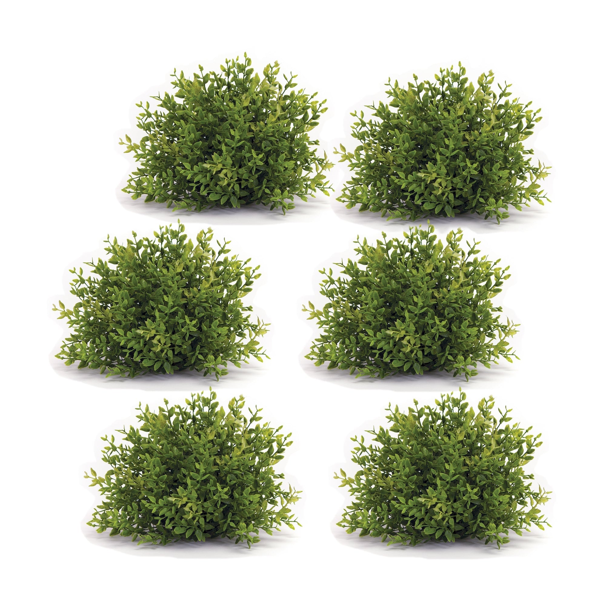 7" Mini Leaf Foliage Half Orb (Set of 6) - Pier 1