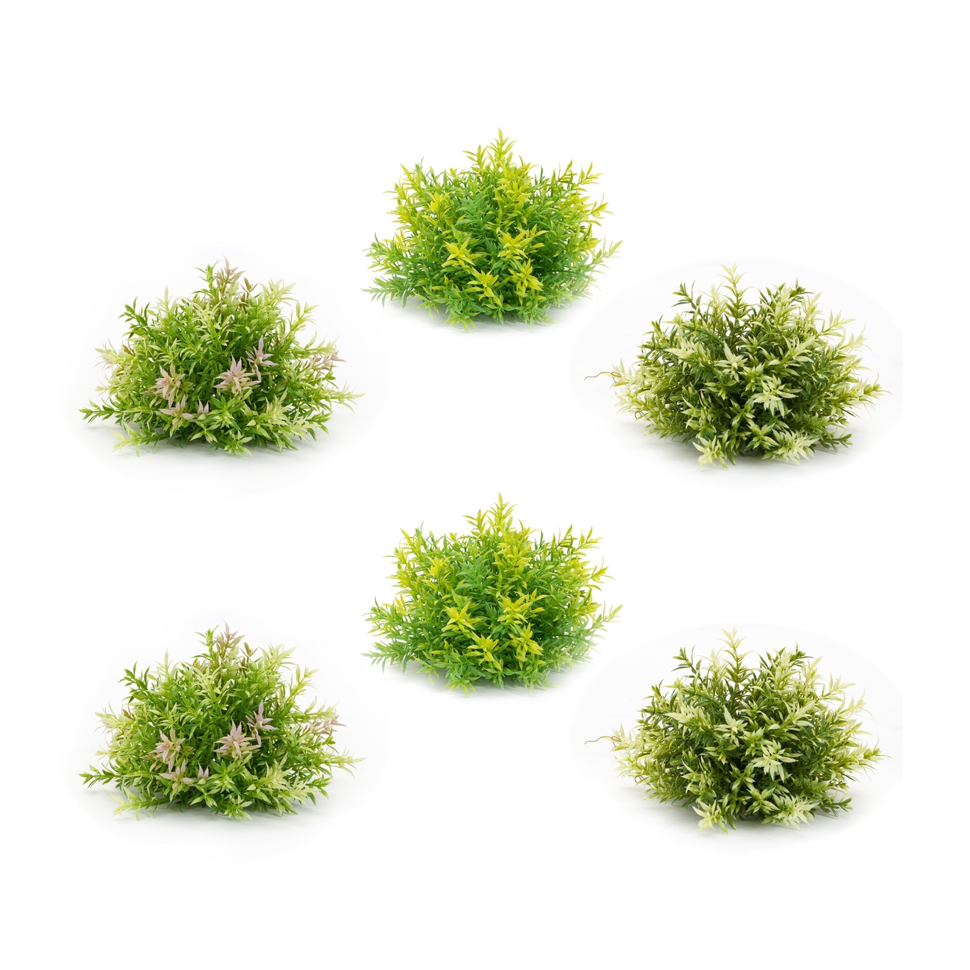 8" Mini Leaf Half Orb, Set of 6 - Pier 1