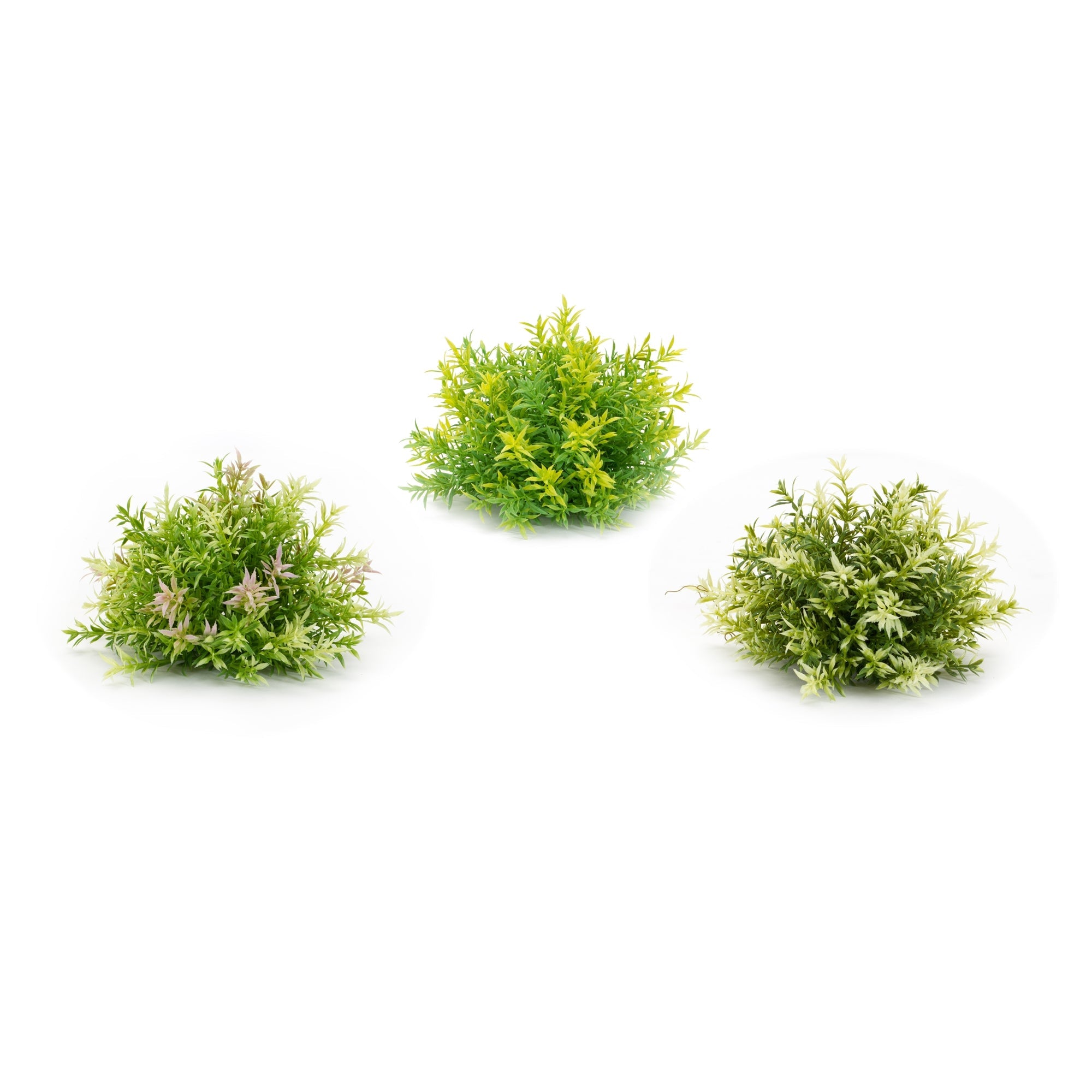 8" Mini Leaf Half Orb, Set of 6 - Pier 1