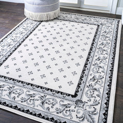 Acanthus French Border Area Rug - Pier 1