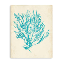 Aquamarine-Seaweed-Iv-Canvas-Giclee-Wall-Art-Wall-Art