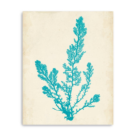 Aquamarine-Seaweed-Vi-Canvas-Giclee-Wall-Art-Wall-Art