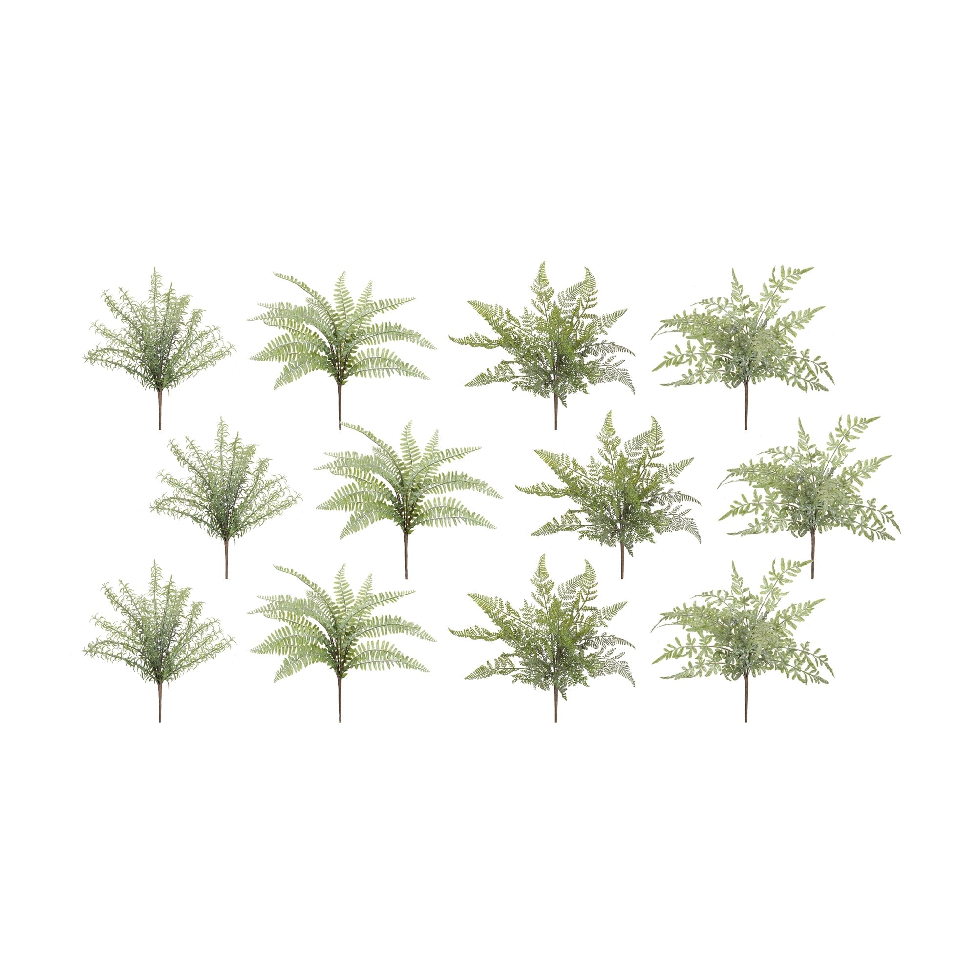 Assorted Fern Foliage Bush, Set of 12 - Pier 1