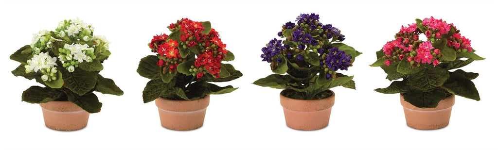 Kalanchoe-Flowers-in-Terra-Cotta-Planters,-Set-of-4-Faux-Florals