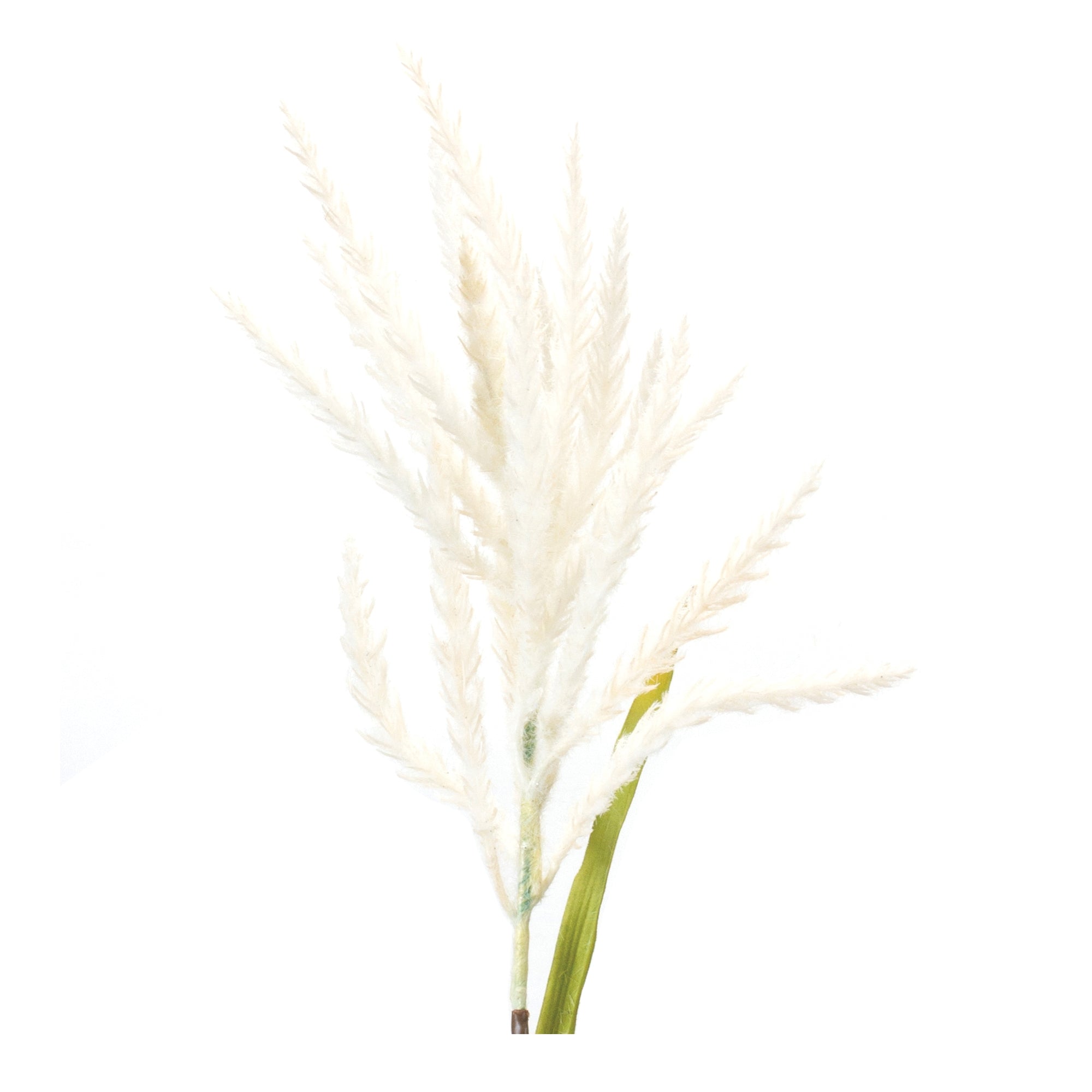 Astilbe Stem (set of 6) - Pier 1