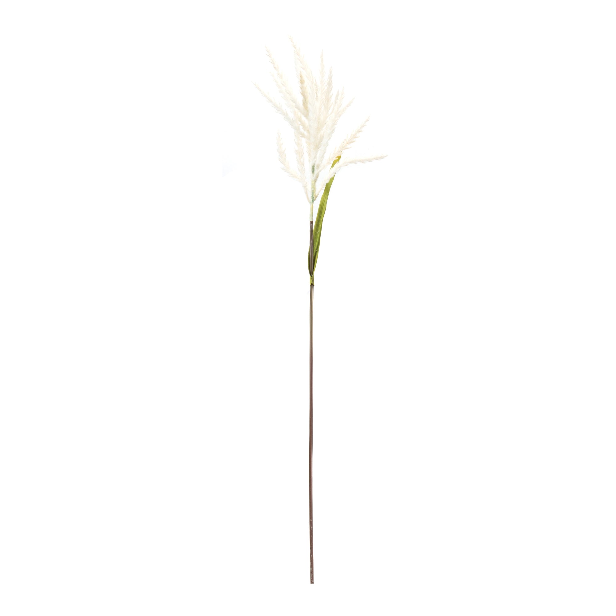 Astilbe Stem (set of 6) - Pier 1