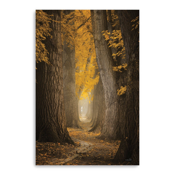 Autumn-Path-Canvas-Giclee-Wall-Art-Wall-Art