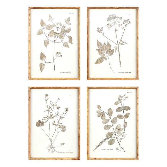 Bamboo Framed Encyclopedia Floral Print Under Glass, Set of 4 - Pier 1