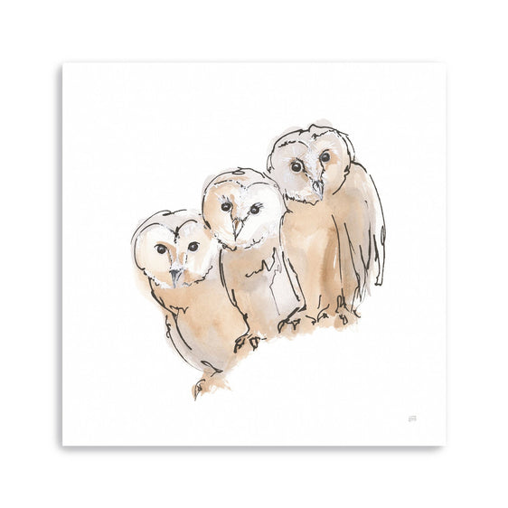 Barn Owl III Canvas Giclee - Pier 1