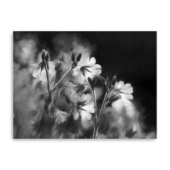 Black-&-White-Flowers-Canvas-Giclee-Wall-Art-Wall-Art
