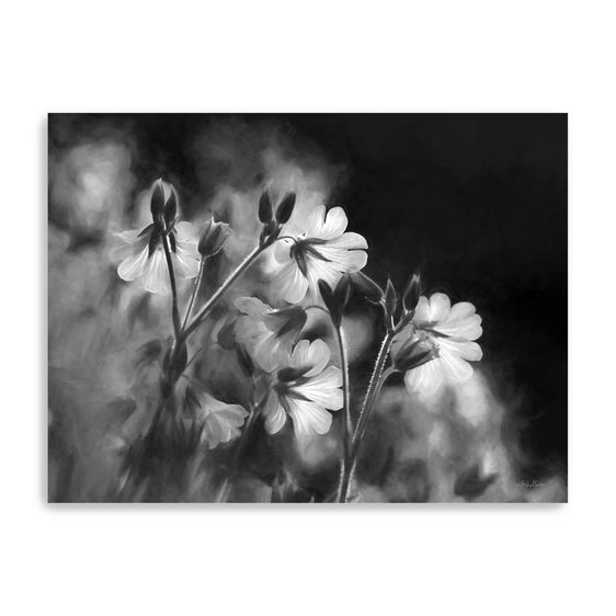 Black & White Flowers Canvas Giclee - Pier 1