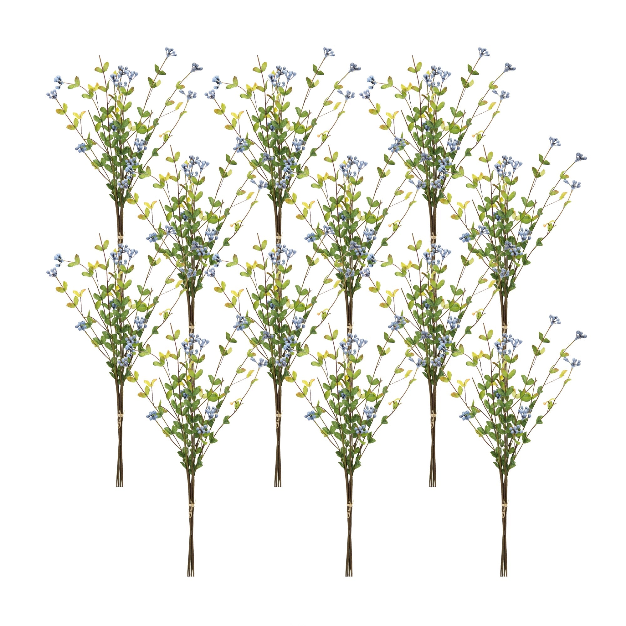 Blue Berry Foliage Spray, Set of 12 - Pier 1