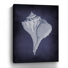 Blue Seashell II Canvas Giclee - Pier 1