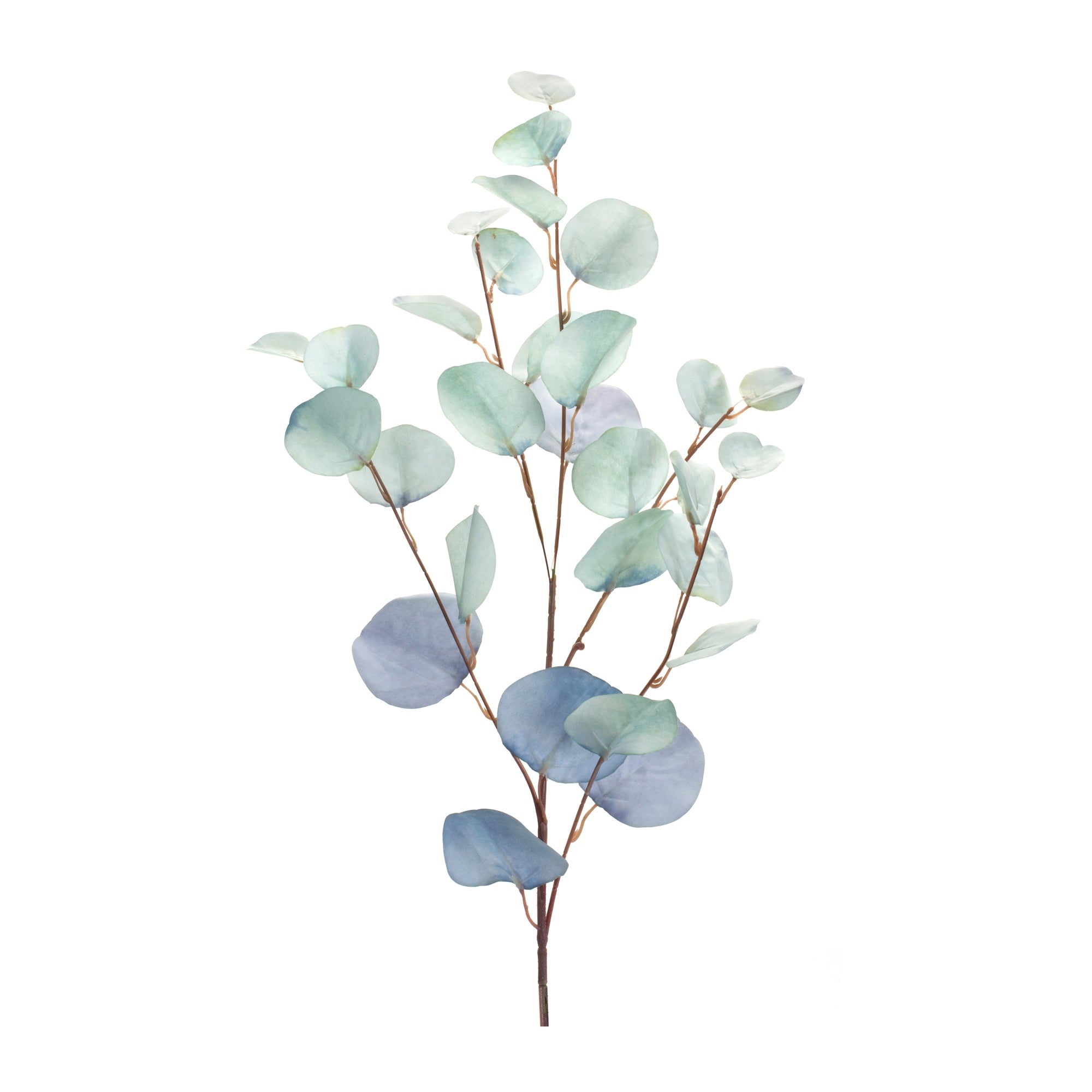 Blue Silver Dollar Eucalyptus Leaf Spray, Set of 6 - Pier 1