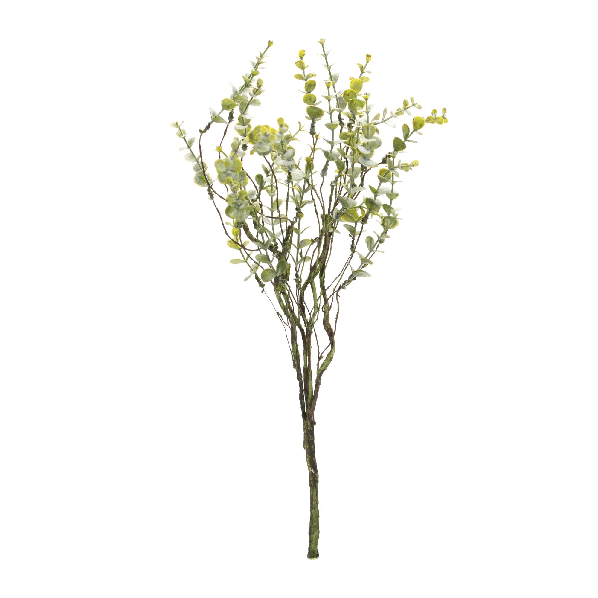Boxwood Twig Foliage Spray, Set of 6 - Pier 1