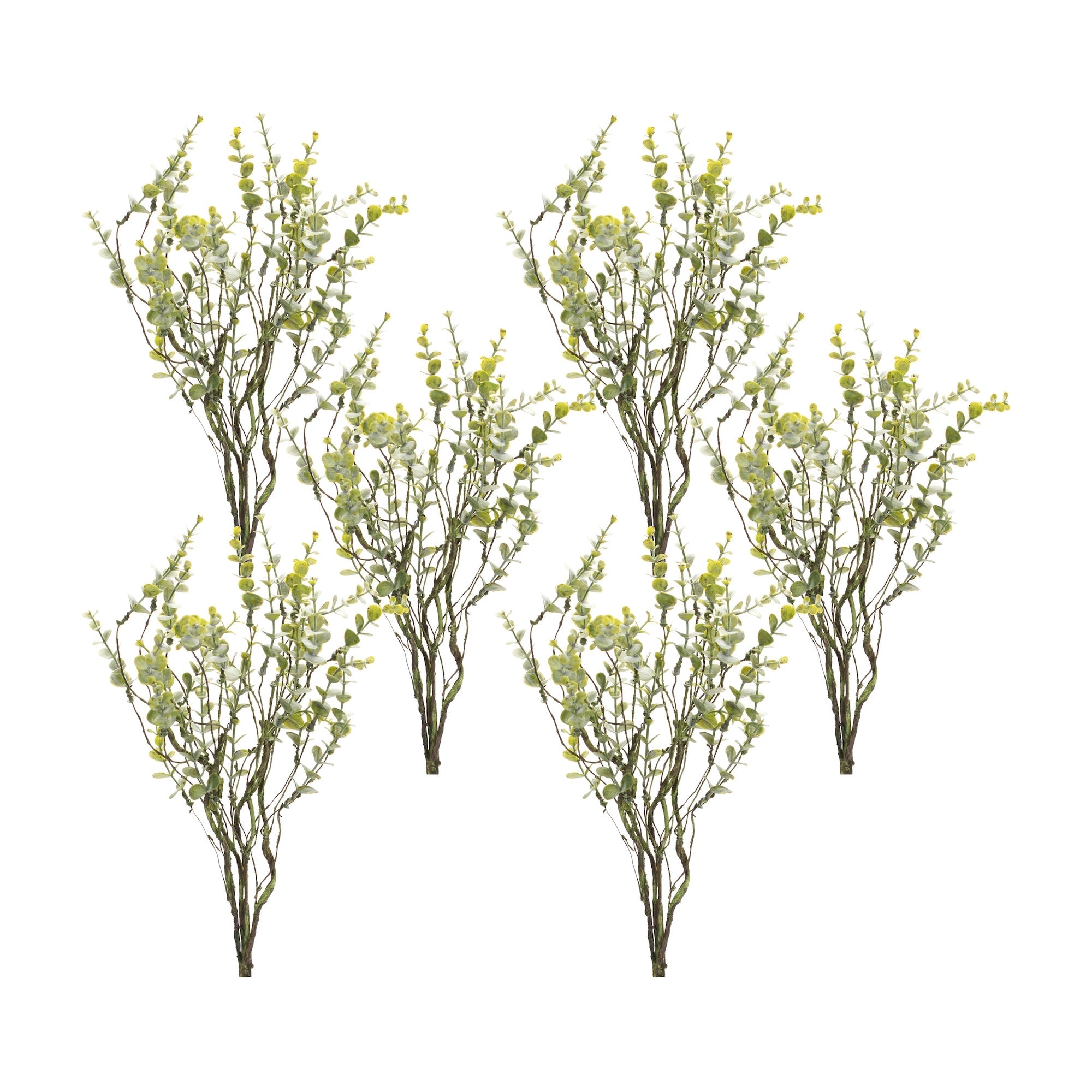 Boxwood Twig Foliage Spray, Set of 6 - Pier 1