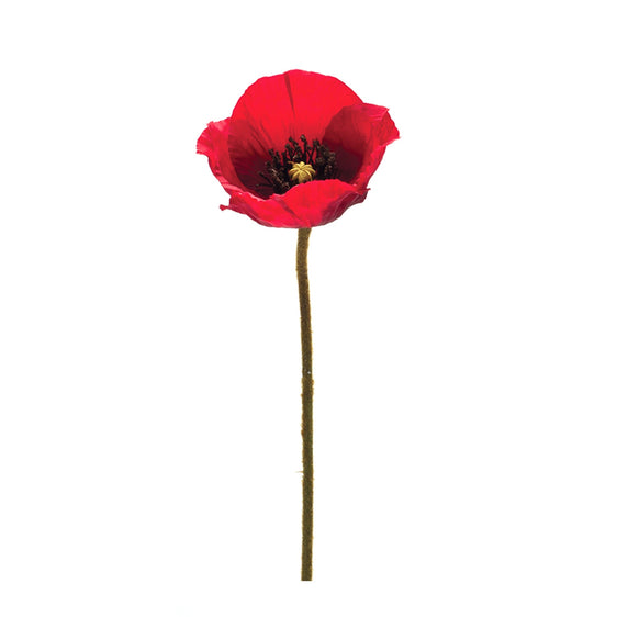 Bright-Red-Poppy-Flower-Stems,-Set-of-6-Faux-Florals